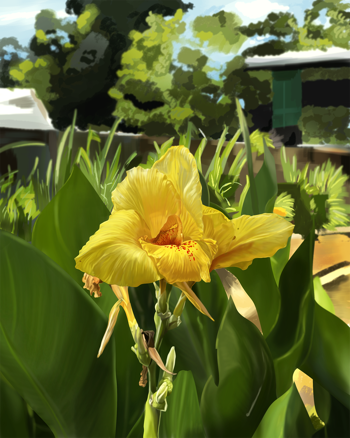 Gargan_Kelli_YellowFlower_Illustration_LowRes.png