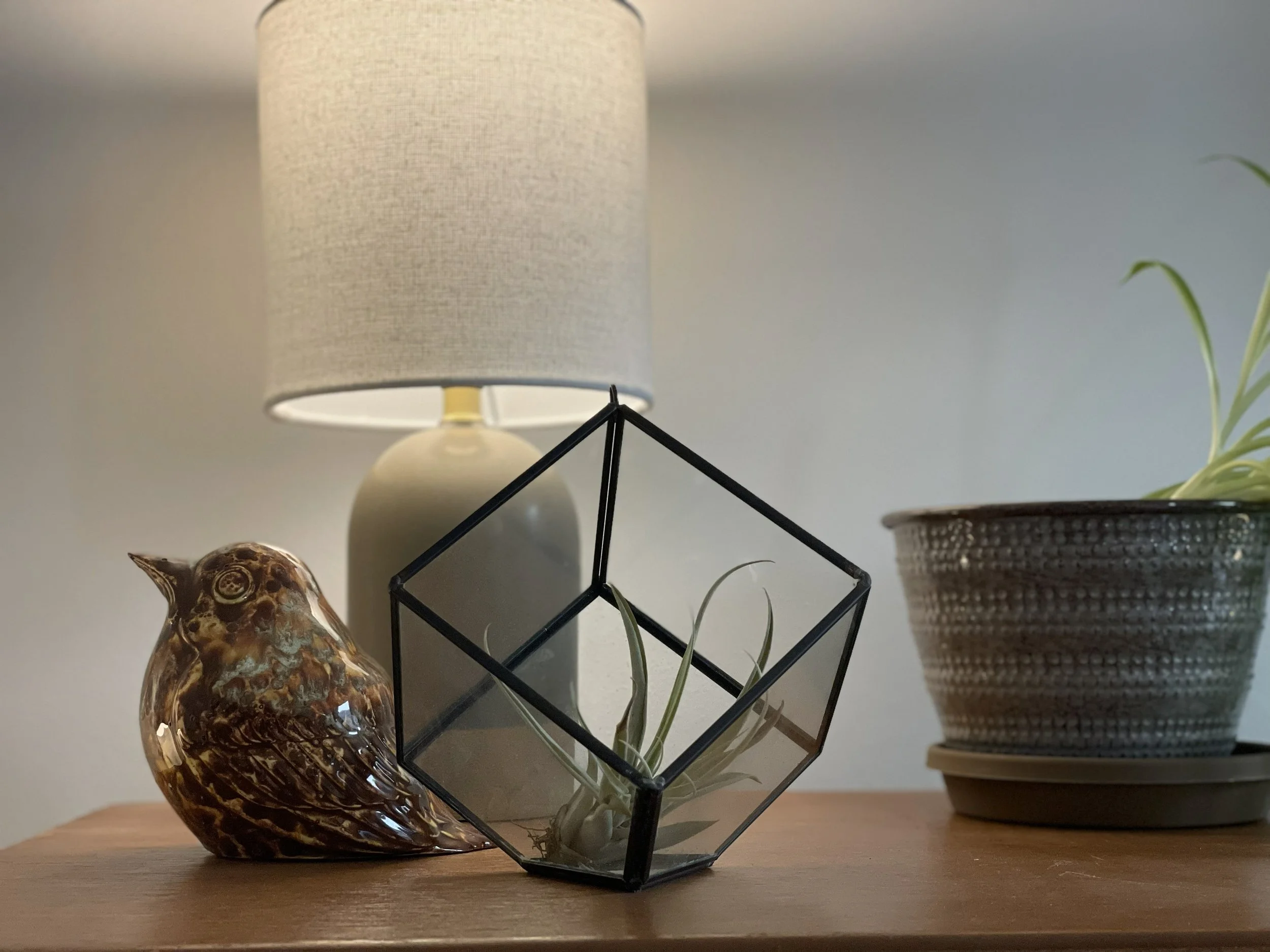 Decorative indoor scene with a ceramic owl figurine, a geometric glass terrarium with air plants, a ceramic table lamp with a beige shade, and a ceramic pot with a trailing plant on a wooden surface.