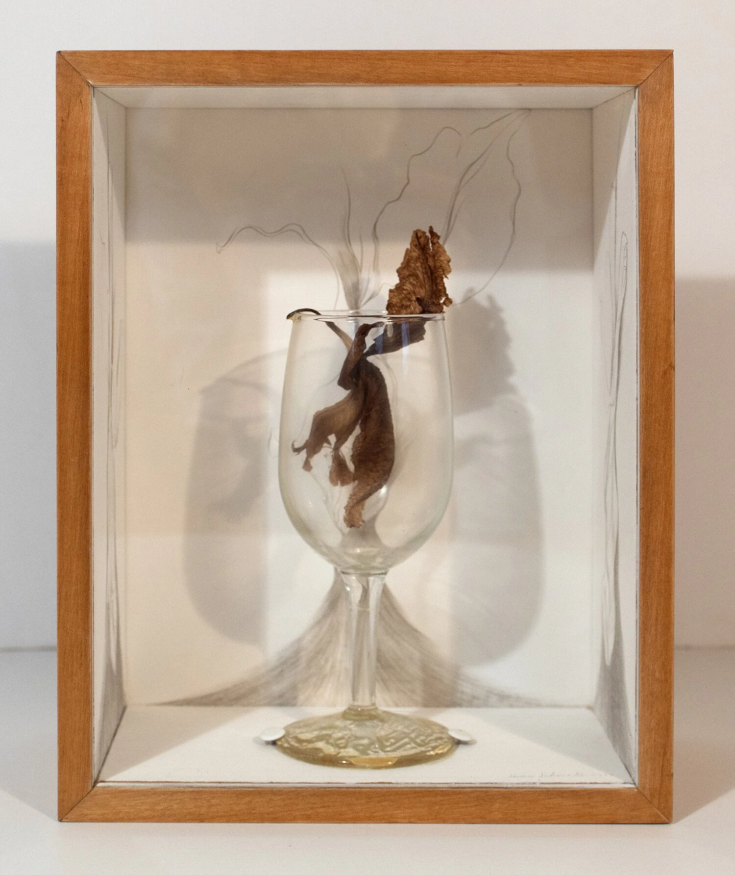 8451754_Orchid-Reliquary-1-25-X-78-300-dpi.jpg