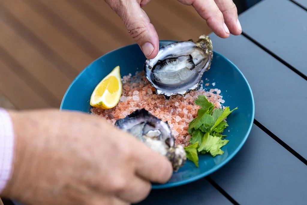 We are pretty lucky to have fresh oysters right at our fingertips here in Coffin Bay 🦪. We recommend enjoying some on the balcony at @dolphinview with a glass of wine in hand 🥂 Head to our website to make the most of our Upstairs@Dolphinview Promo,