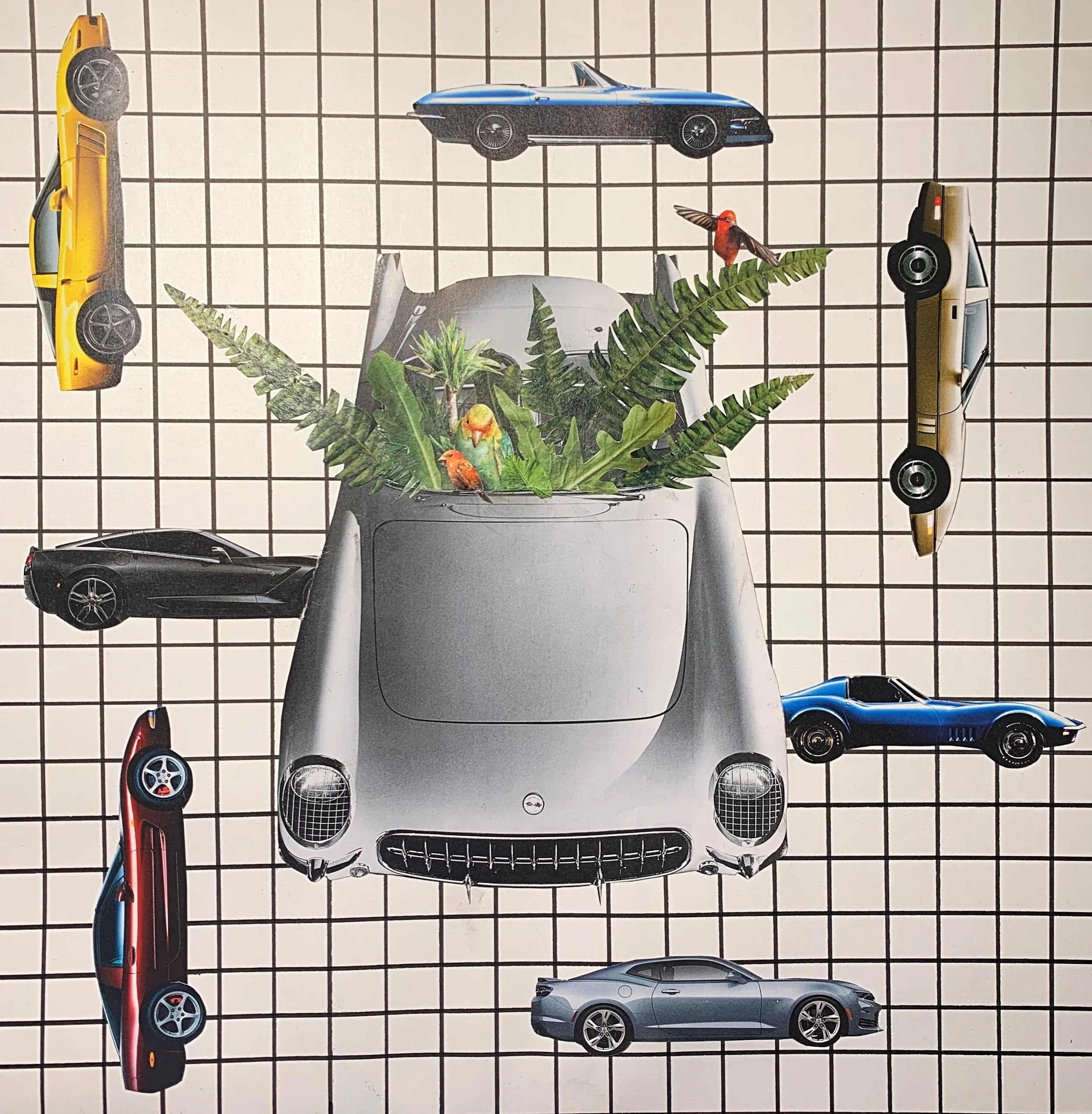 Car Collage.jpeg