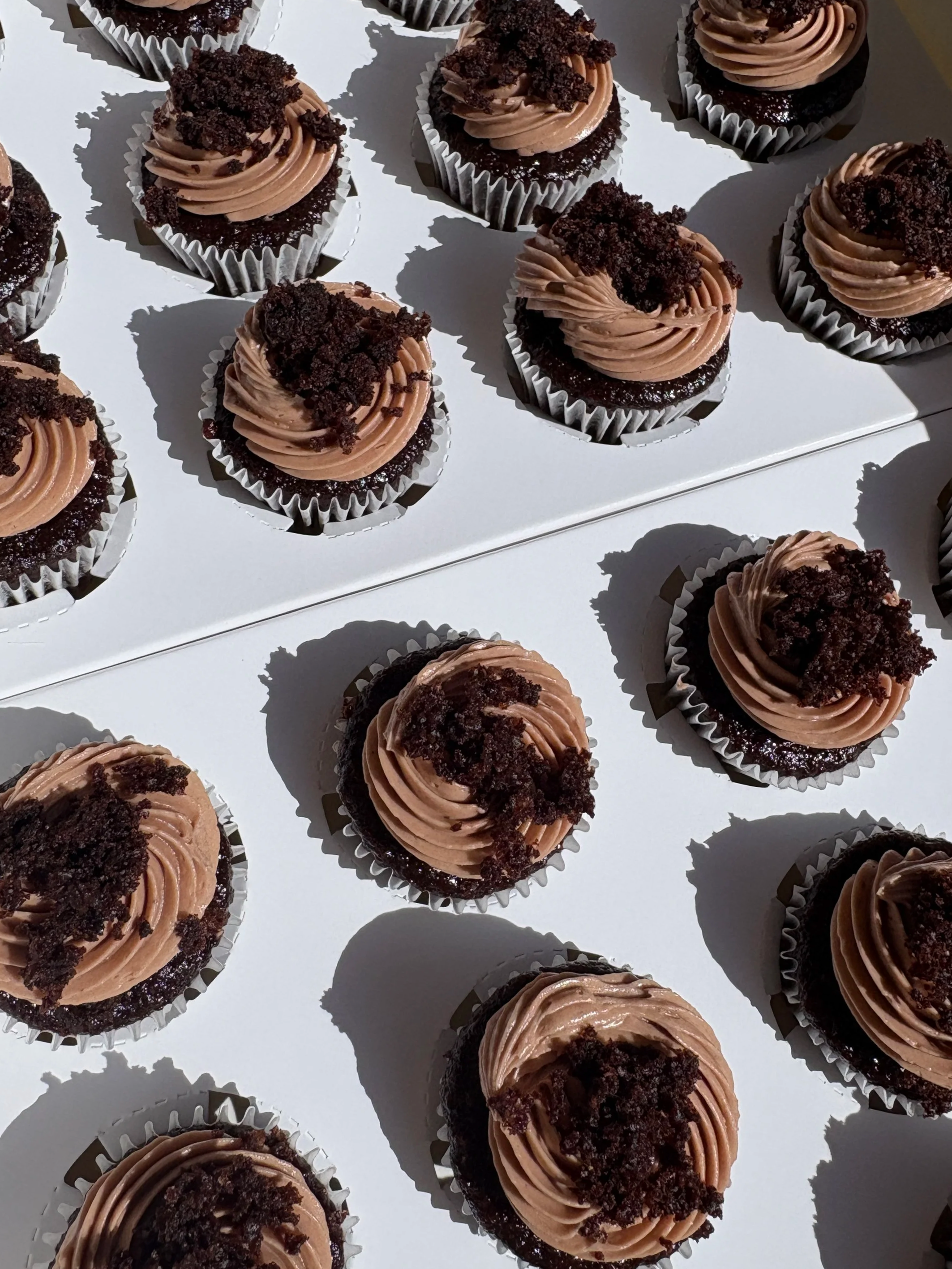 Chocolate Mini Cupcakes