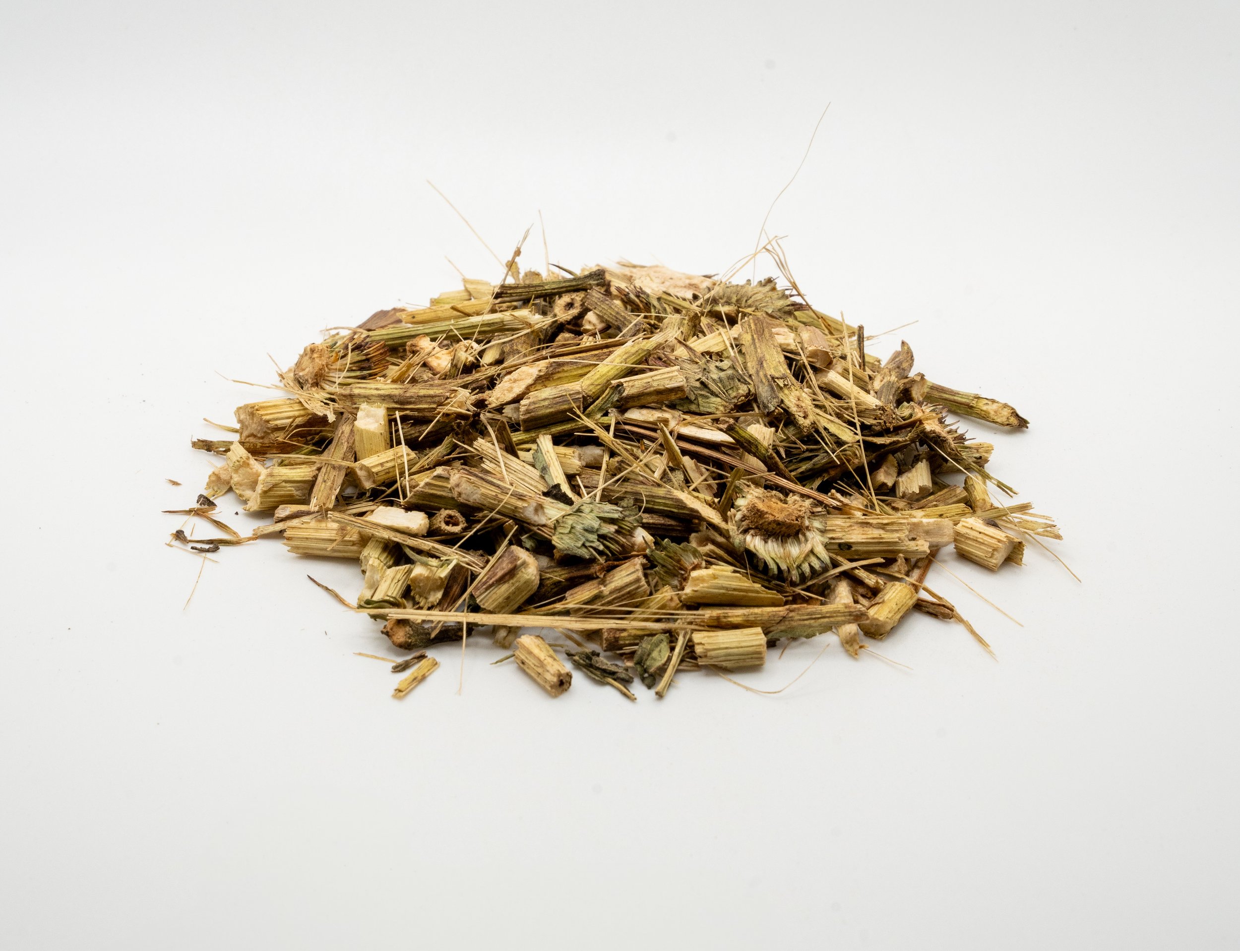 Echinacea Stems