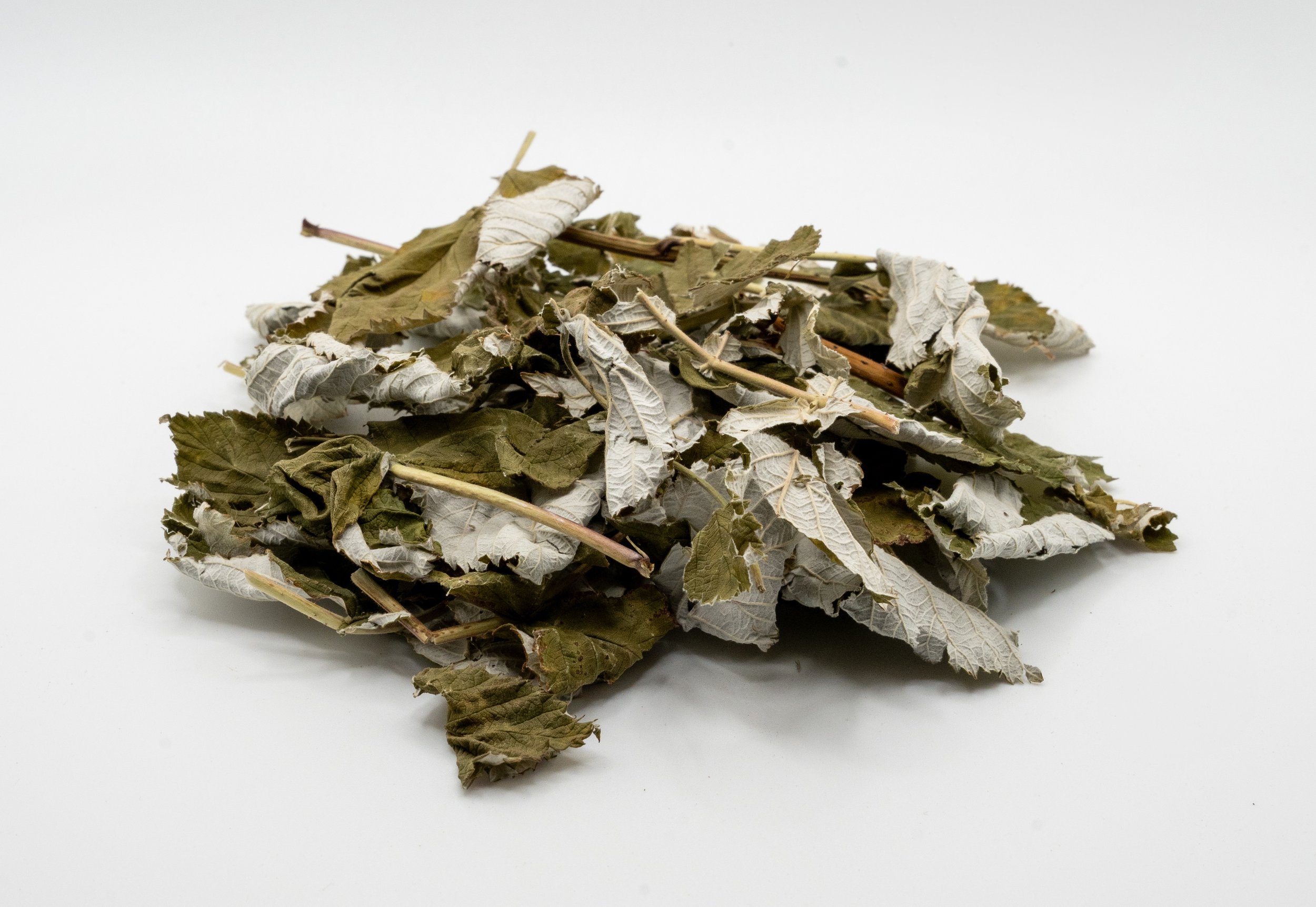 Rasberry Leaves.jpg