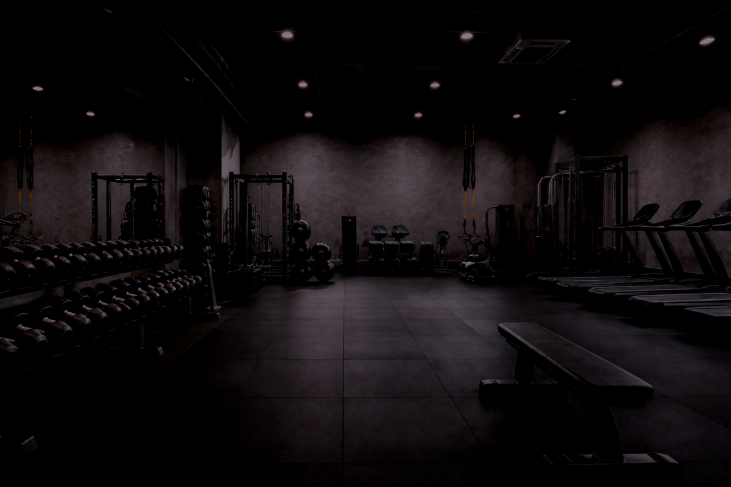 A Gym with Weights and cardio equipment with nobody in the gym.