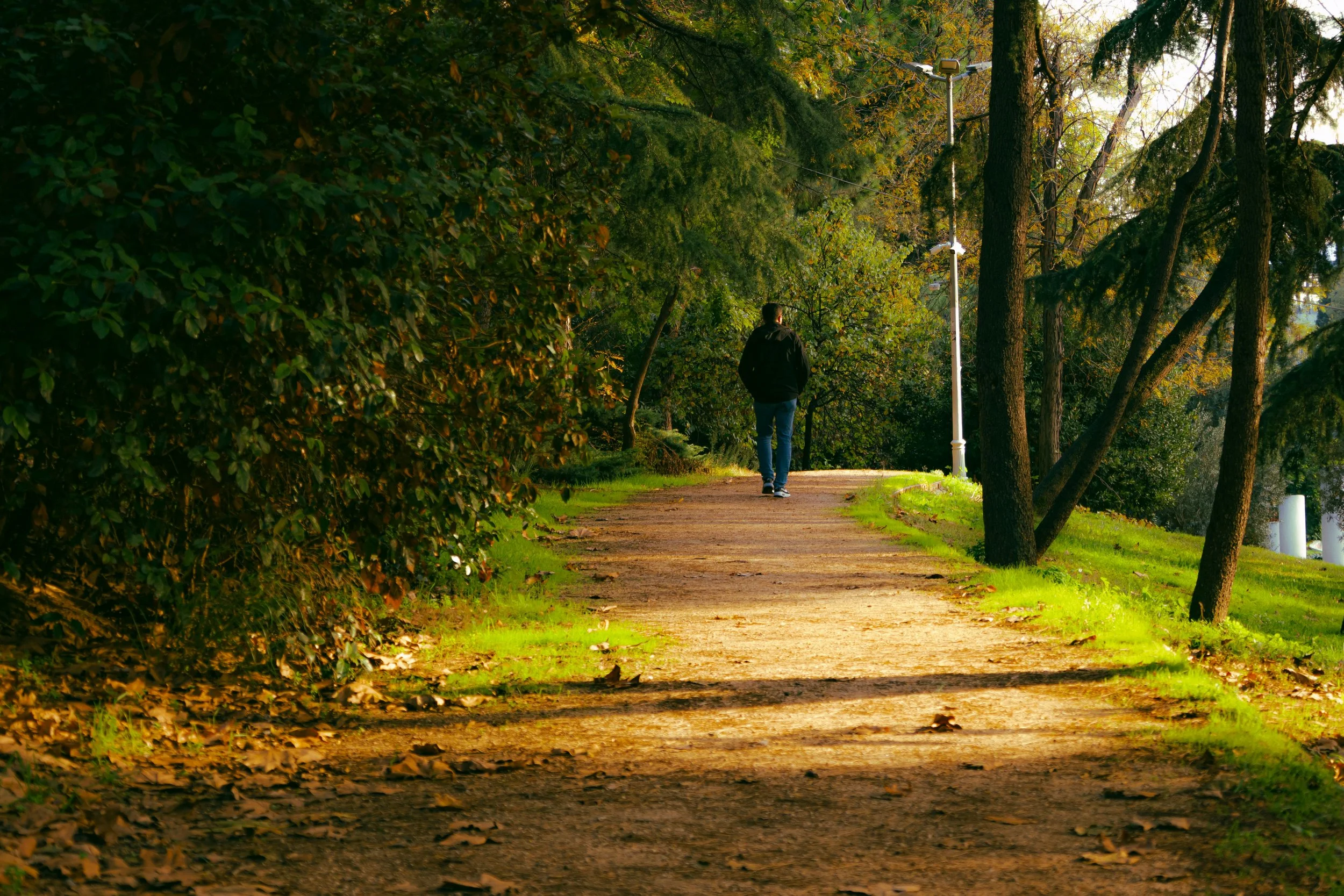 Depression and Motivation: Why “Just Push Yourself” Often Doesn't Work