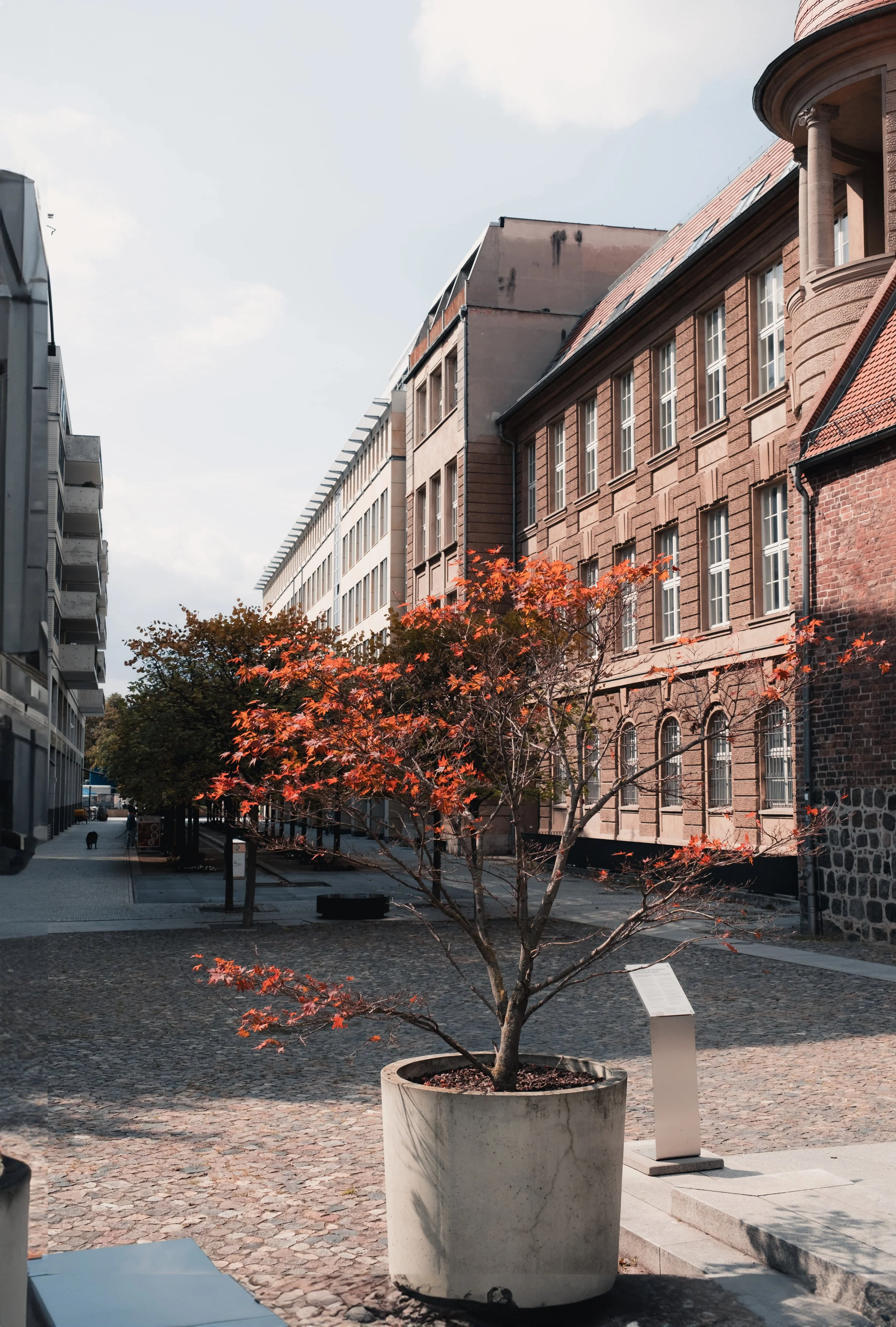 Red Tree