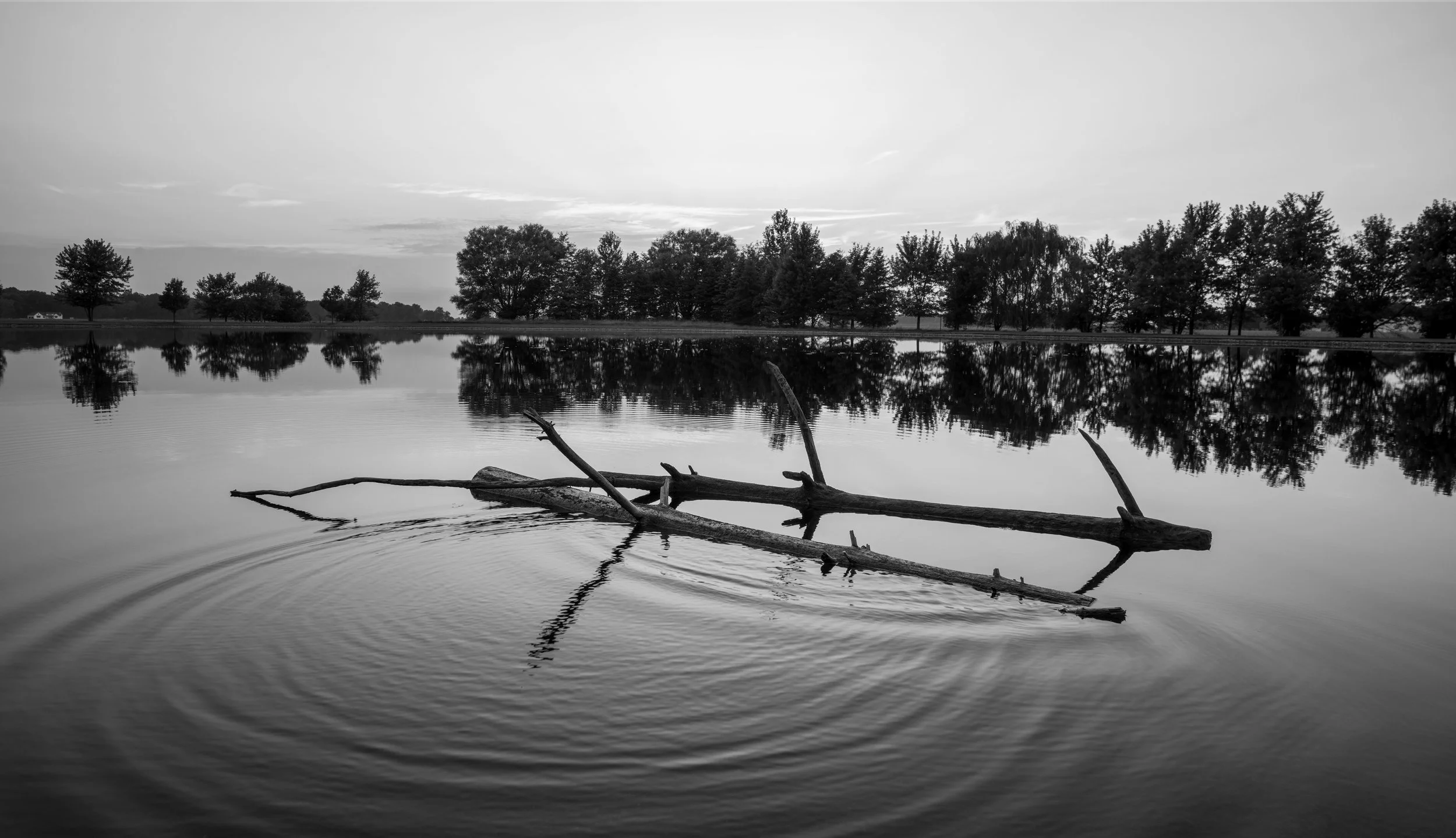 RippleEffectBW.jpg