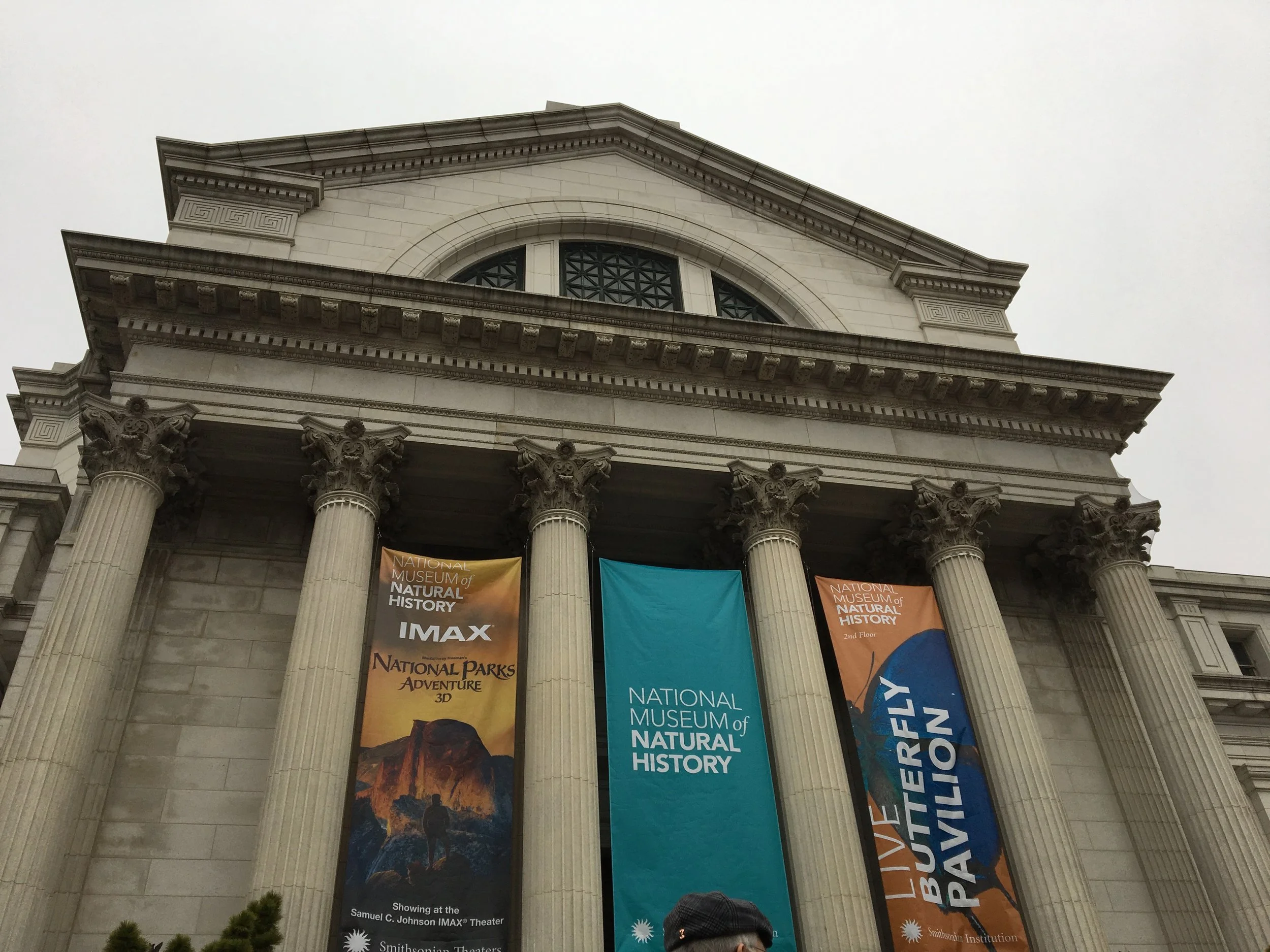 Reserve Museum Passes