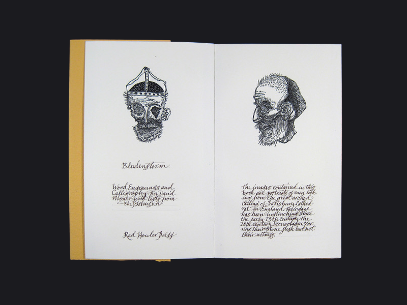 Bleedenstorm | Title Page