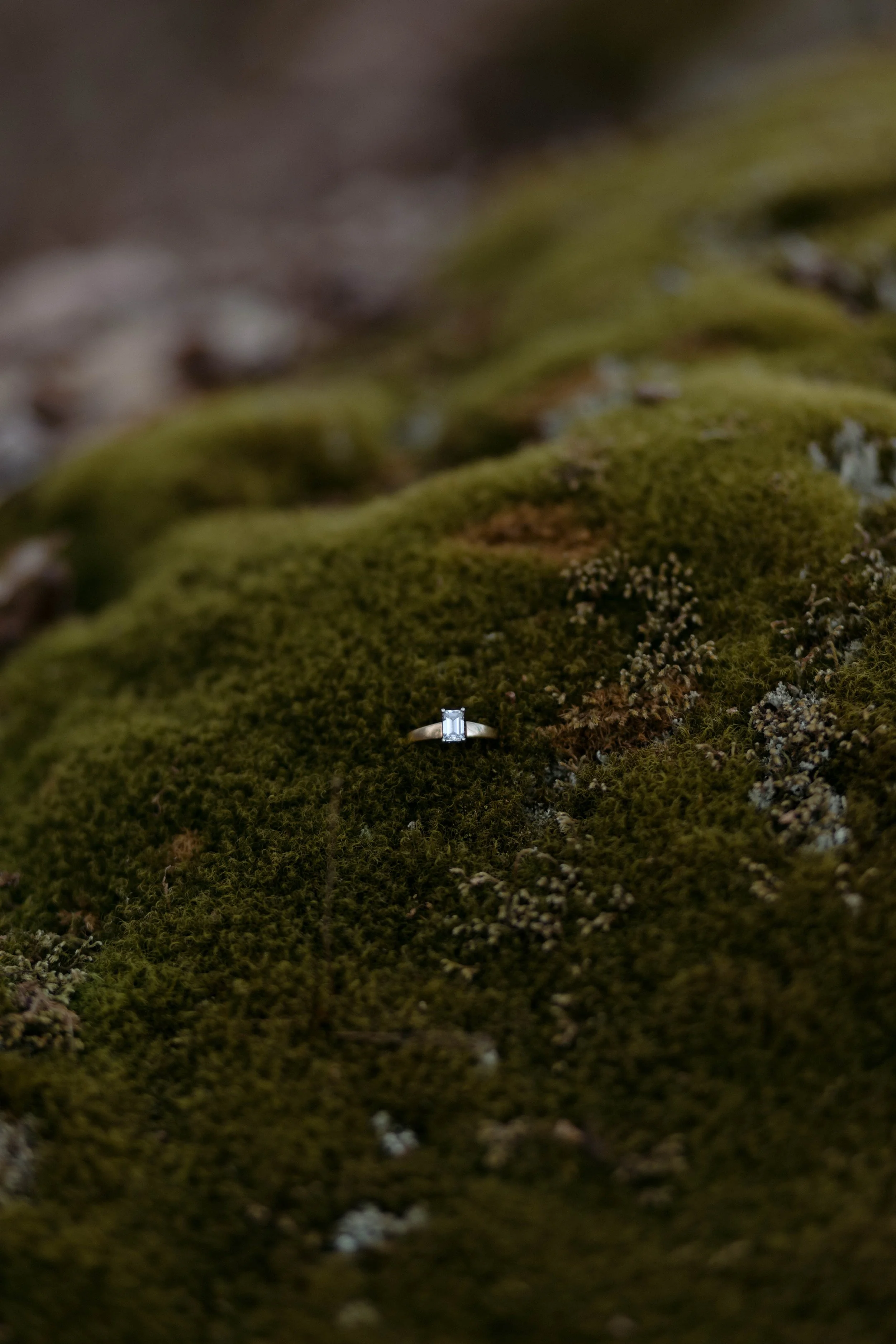 Minnesota-Wedding-Photographer (54 of 125).jpg