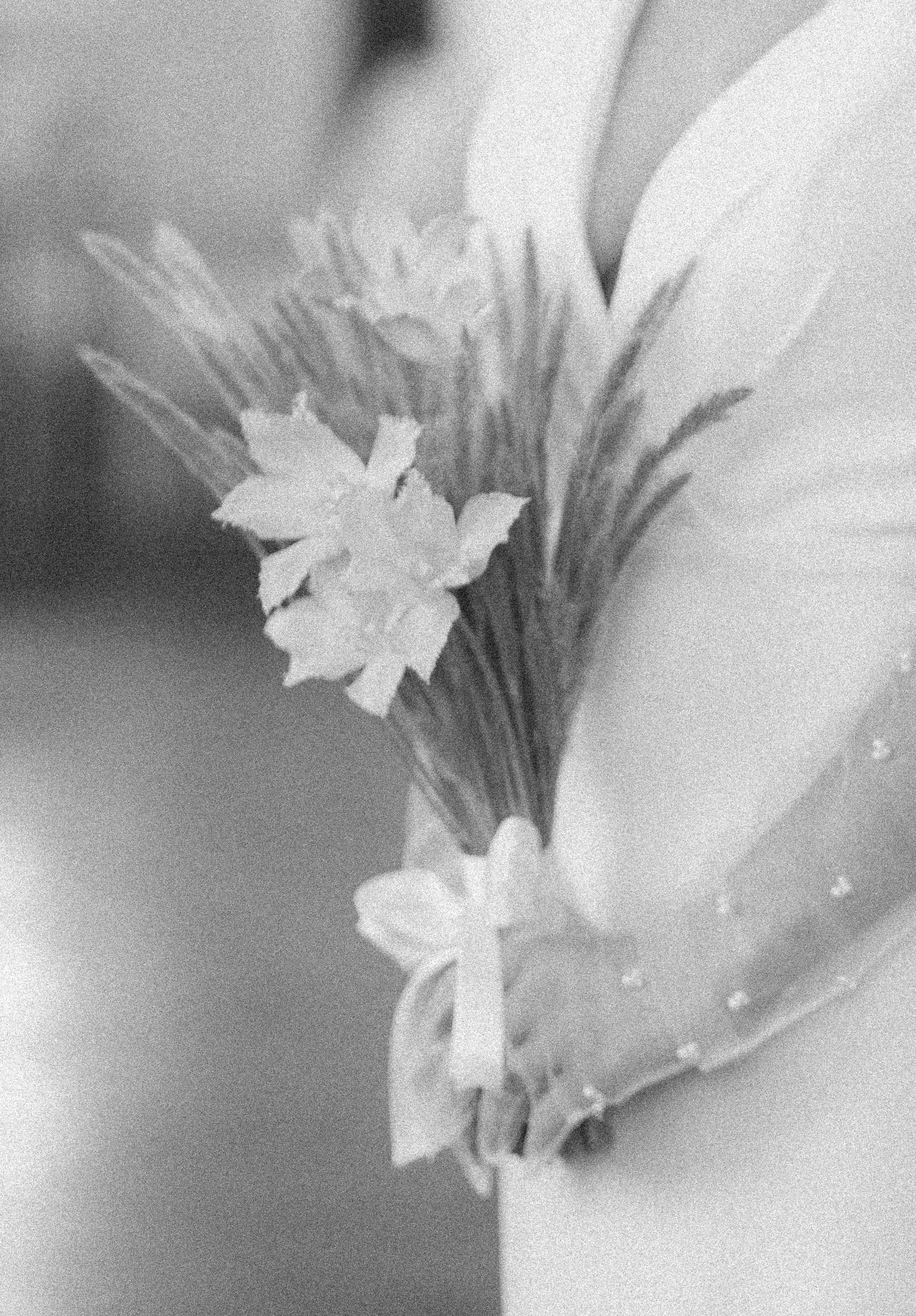 DFL_5090.jpg