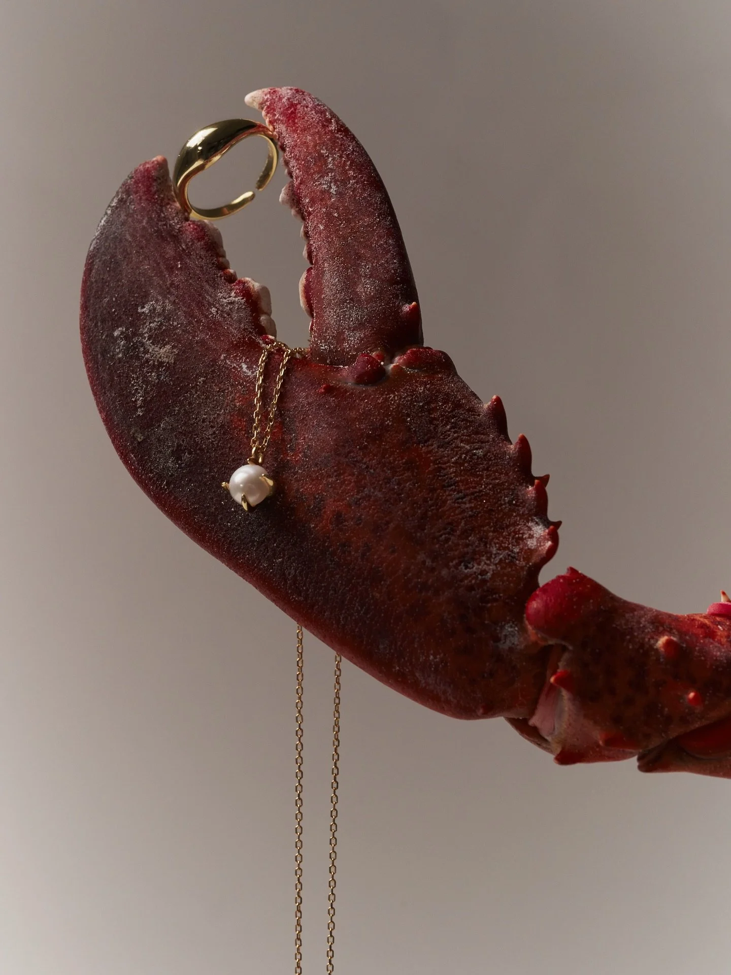 Hummer serviert mit feinen Schmuckdetails.

Entdecke unsere neue Kollektion 𝐿𝑎 𝐷𝑜𝑙𝑐𝑒 𝑉𝐴𝑅𝐷𝐴 auf www.vardajewelry.com🤍

#varda #ladolcevarda #finejewelry #fineartprint