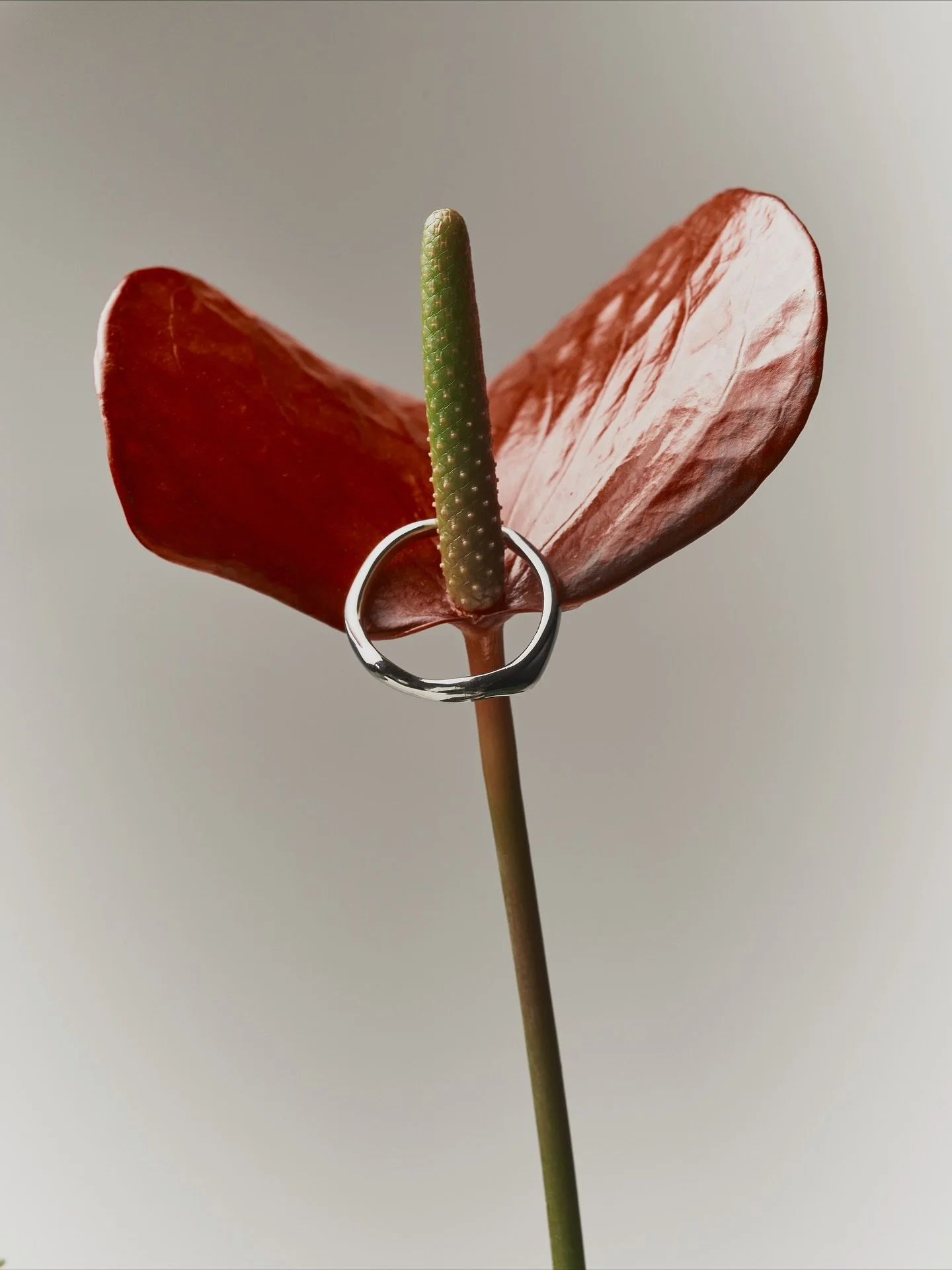 Lieber als Ring oder Fine Art Print? Oder beides? Deine Wahl 🤍

Entdecke unsere neue Kollektion 𝐿𝑎 𝐷𝑜𝑙𝑐𝑒 𝑉𝐴𝑅𝐷𝐴 auf www.vardajewelry.com🤍

#varda #ladolcevarda #finejewelry #fineartprint