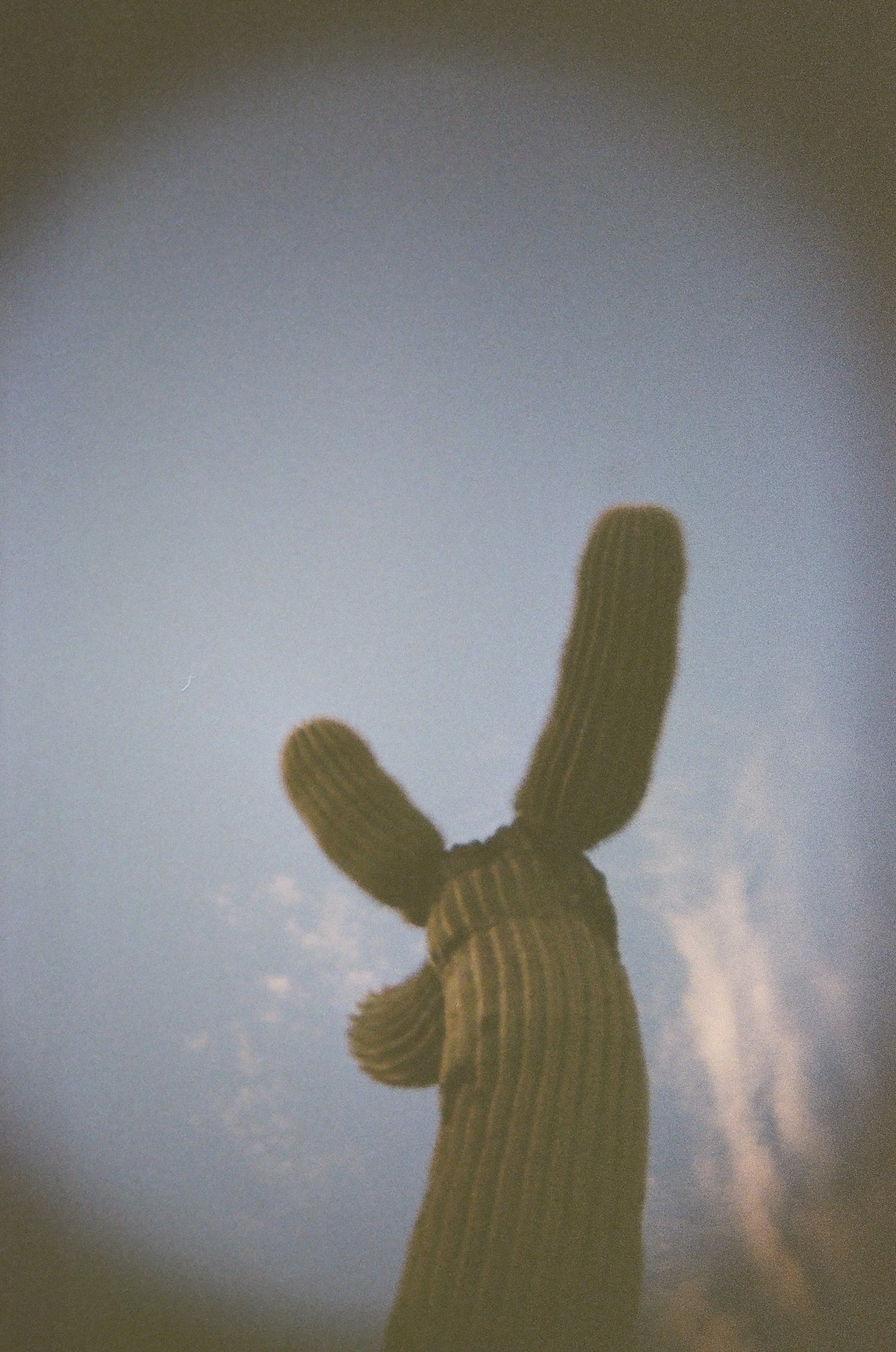 000001570012.jpg