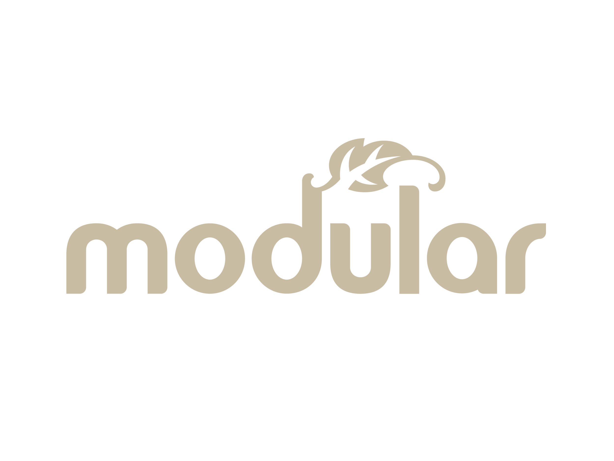 modular_BIEGE.png