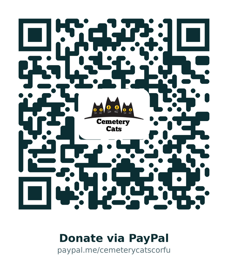Donation QR code