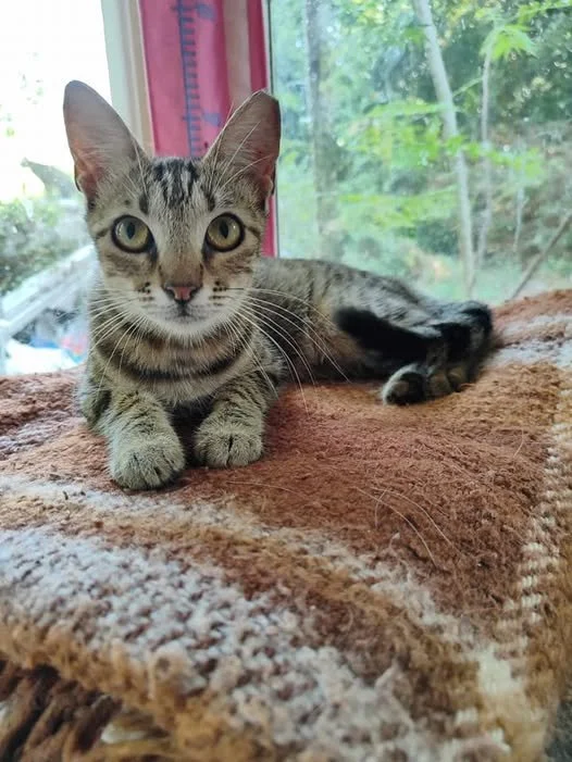 Mimi at the shelter
