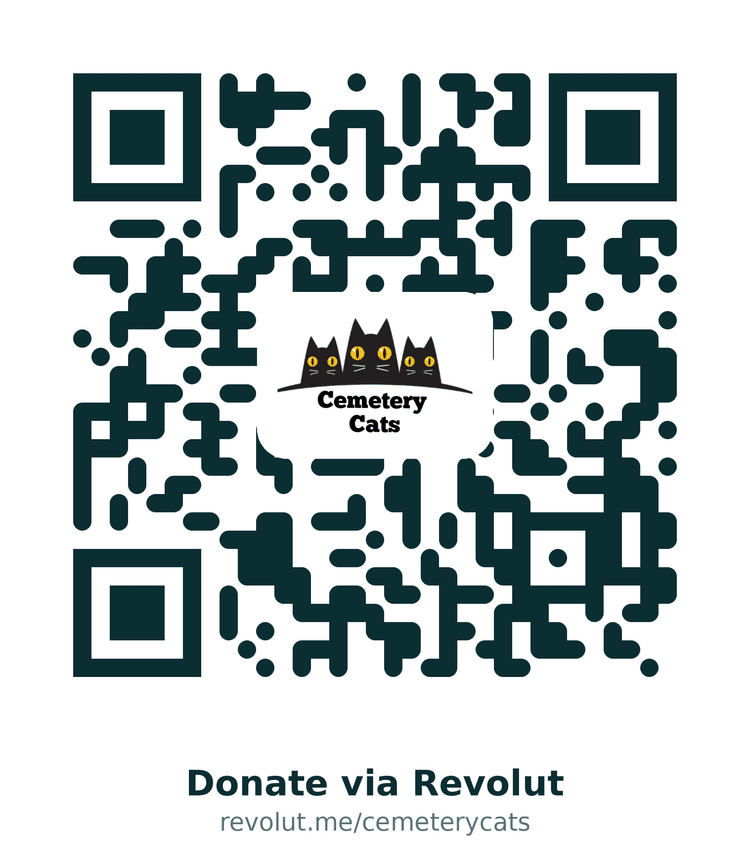 Donation QR code