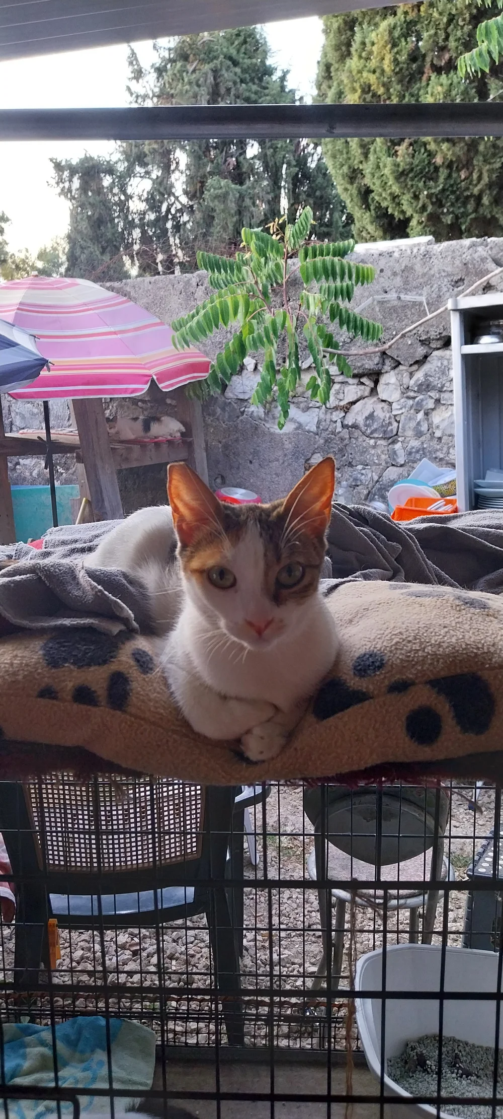 Jan relaxing at the shelter, watching the garden