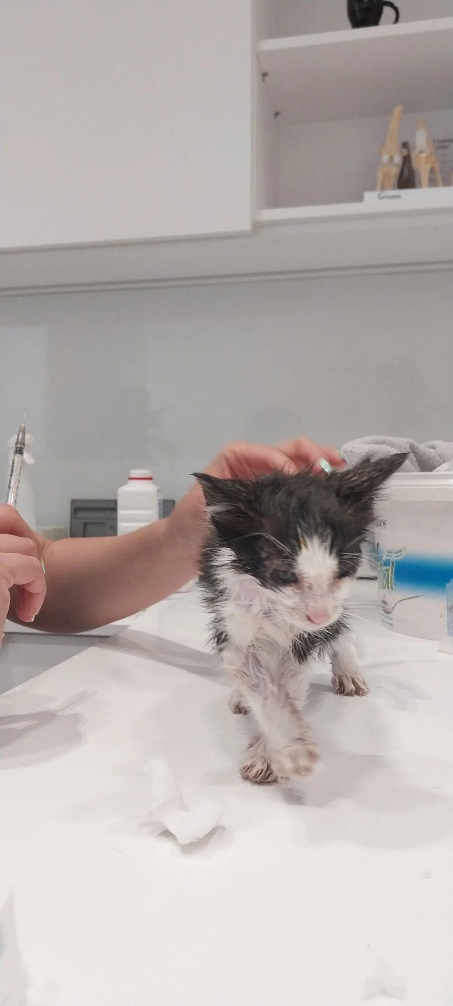 Amore receiving care at the clinic