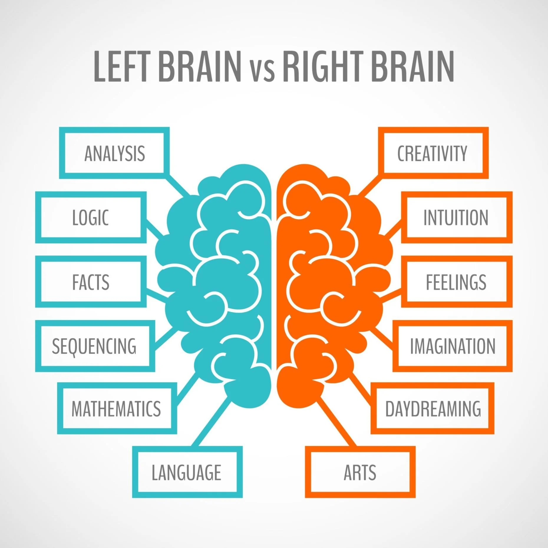 The Intersection of Talk Therapy, EMDR and Brain Function