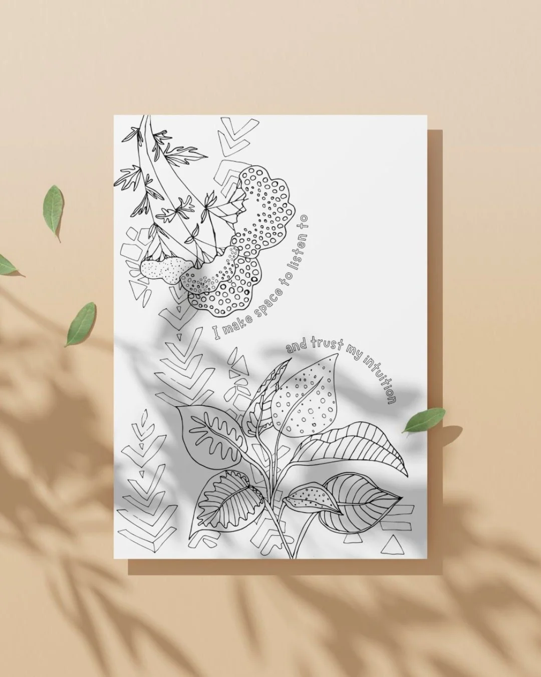 https://i.etsystatic.com/5539316/r/il/33159a/6138324003/il_fullxfull.6138324003_2ush.jpg