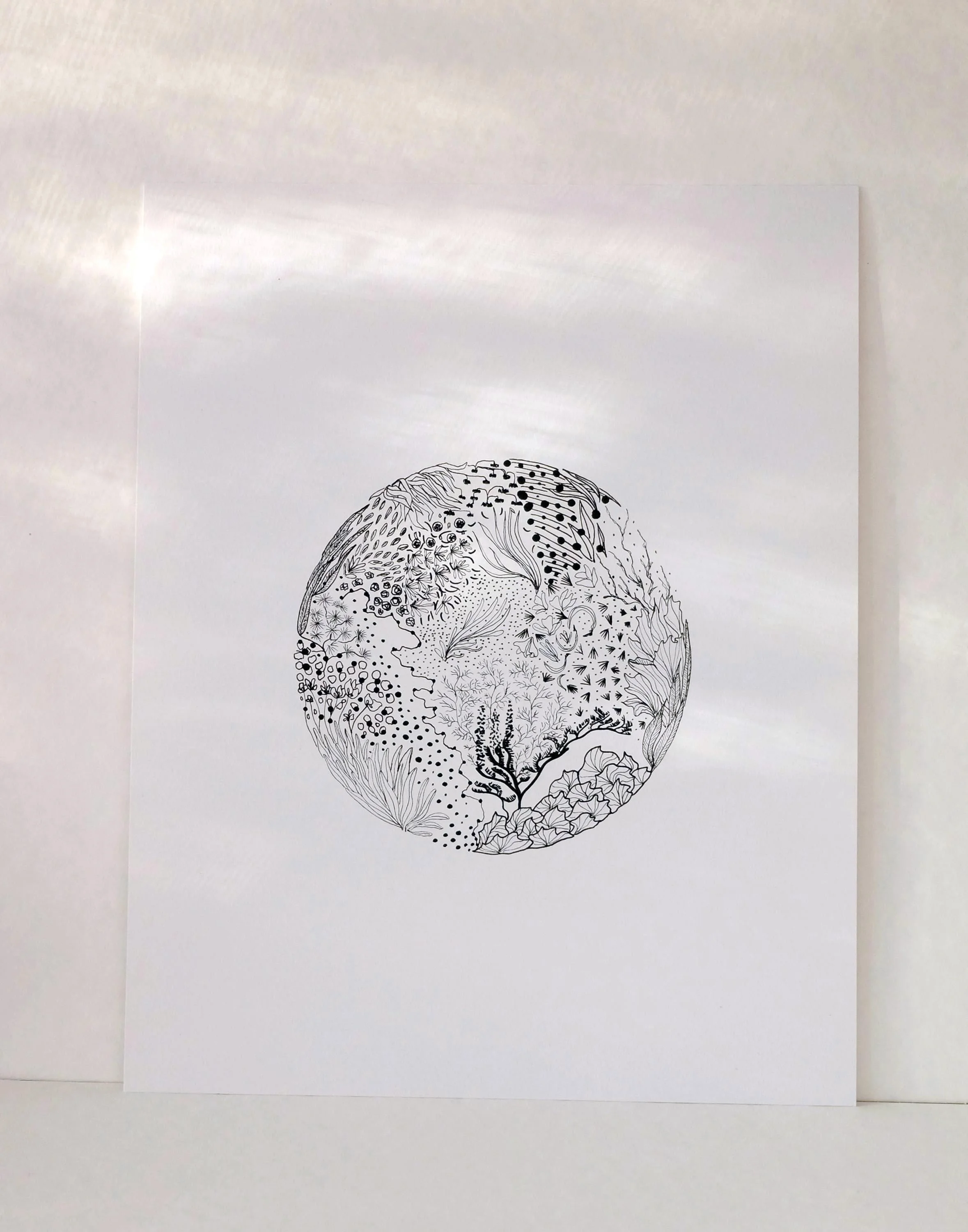 https://i.etsystatic.com/5539316/r/il/238999/7254868977/il_fullxfull.7254868977_icl2.jpg