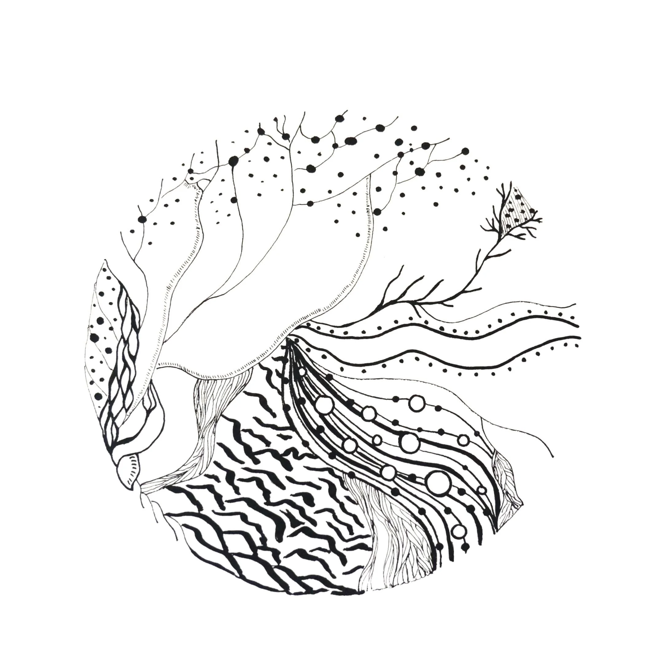 https://i.etsystatic.com/5539316/r/il/15ff86/7254682139/il_fullxfull.7254682139_cwnn.jpg