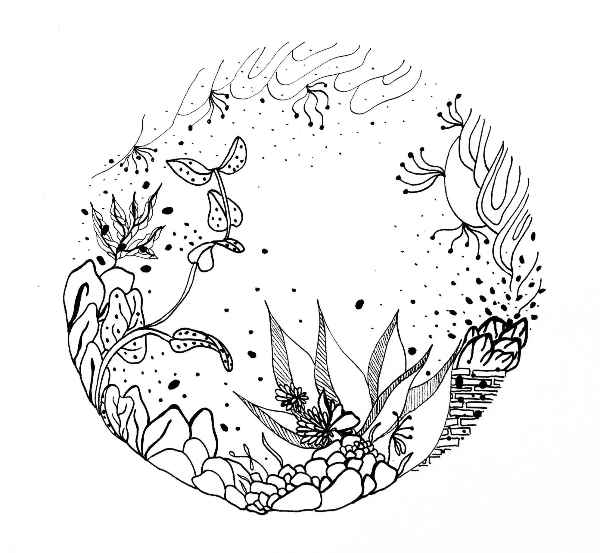 https://i.etsystatic.com/5539316/r/il/d59b91/7254663623/il_fullxfull.7254663623_owoo.jpg