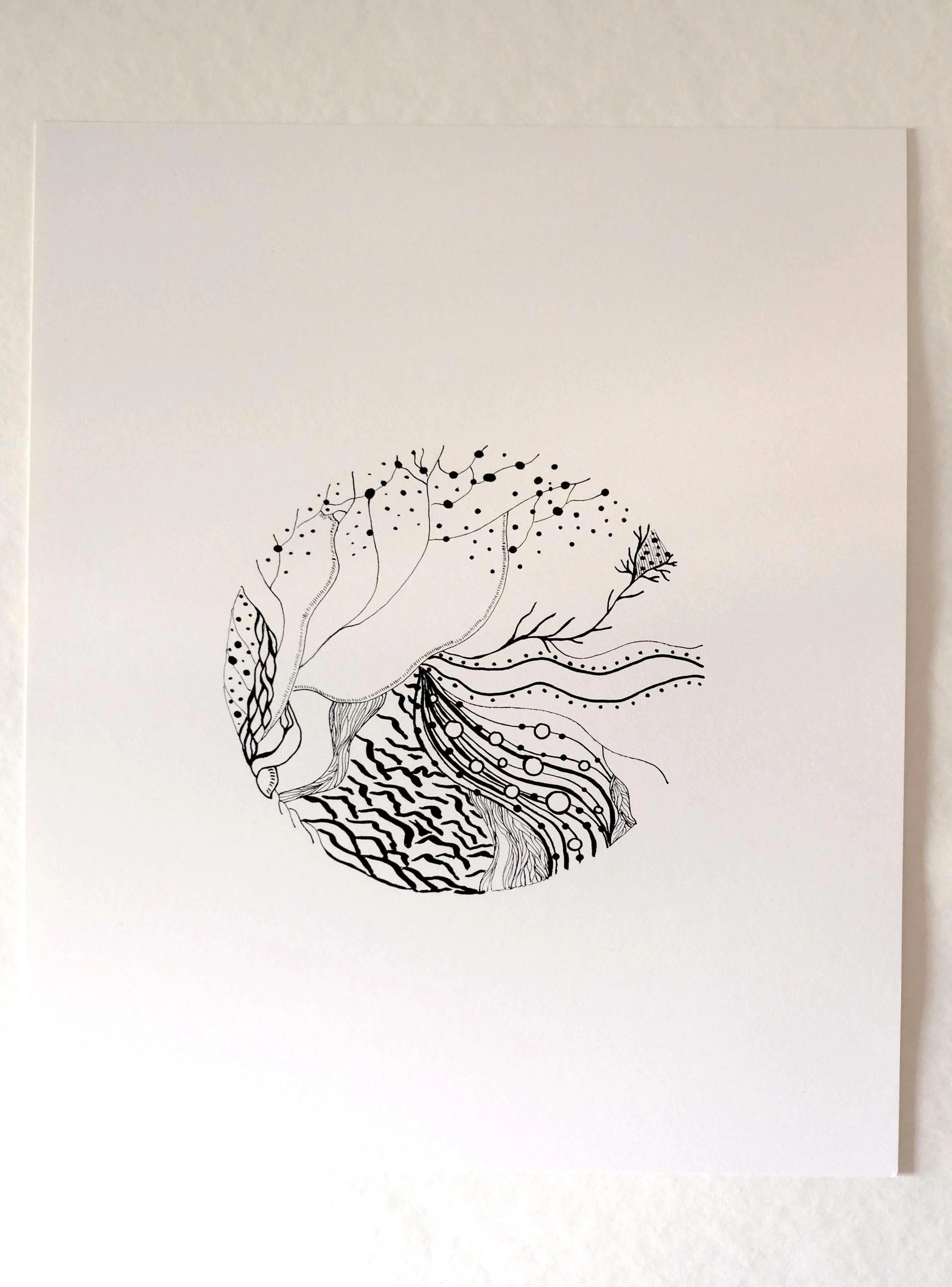 https://i.etsystatic.com/5539316/r/il/d274c5/7206718230/il_fullxfull.7206718230_d3o6.jpg