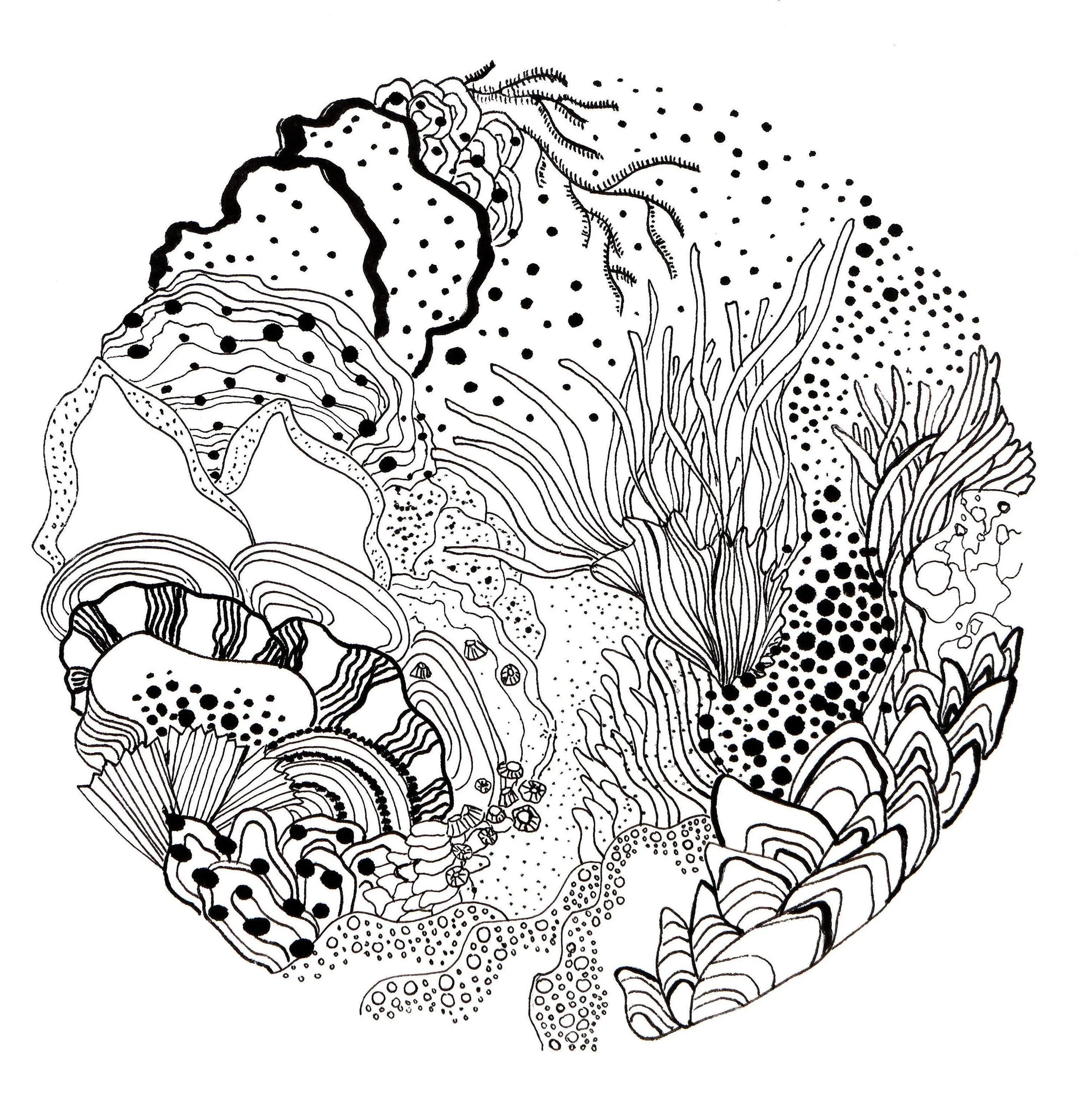 https://i.etsystatic.com/5539316/r/il/08568f/7254829249/il_fullxfull.7254829249_gnfa.jpg