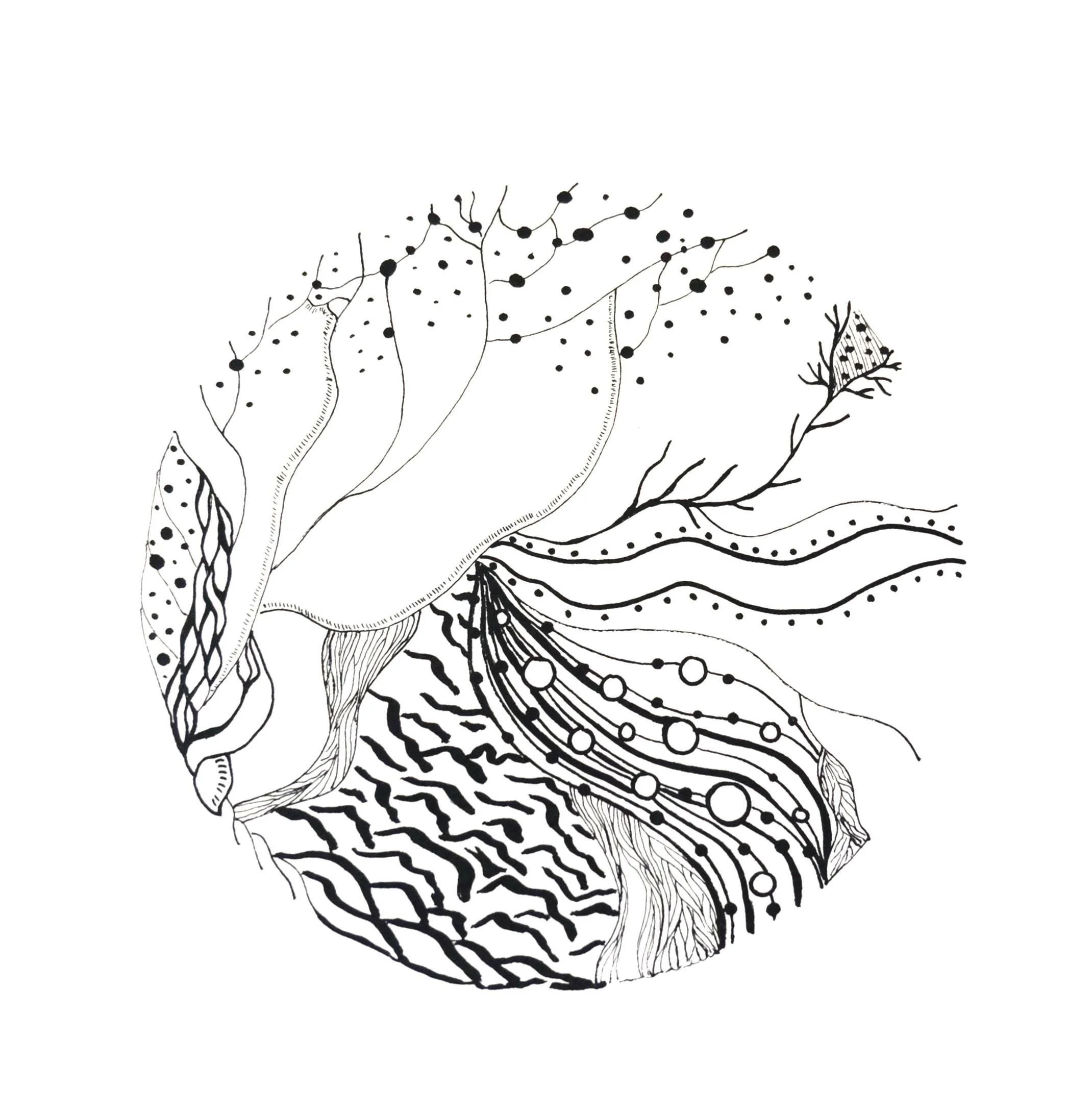 https://i.etsystatic.com/5539316/r/il/15ff86/7254682139/il_fullxfull.7254682139_cwnn.jpg