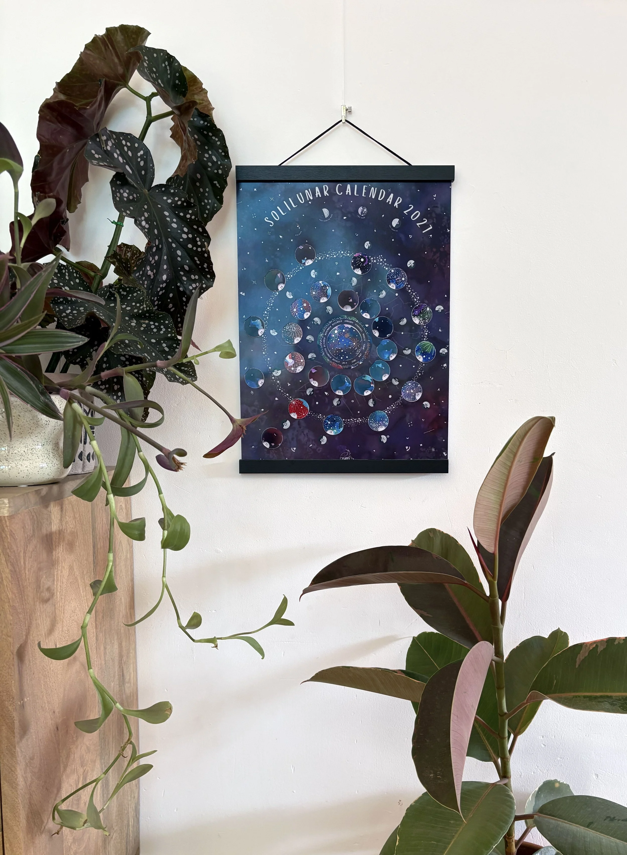 The 2027 Moon Calendar hanging on a white wall beside leafy houseplants, showing its colourful lunar illustrations on a purple, starry background.