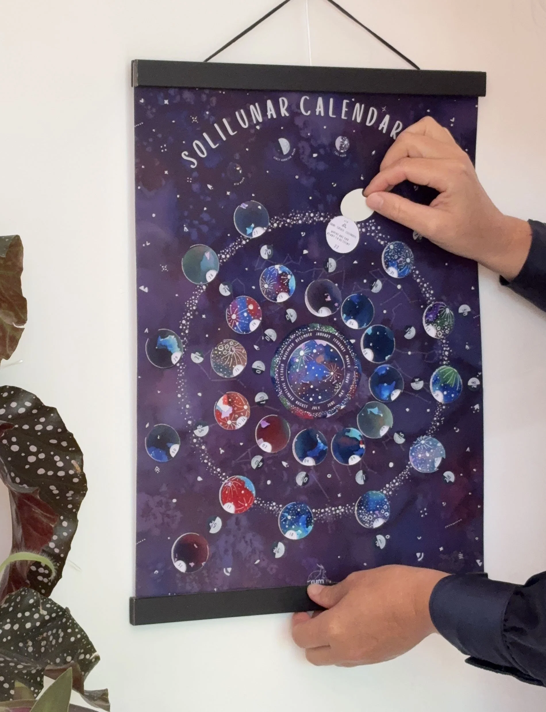 The 2027 Moon Calendar displayed on a wall as its maker lifts one of the interactive moon-phase flaps.