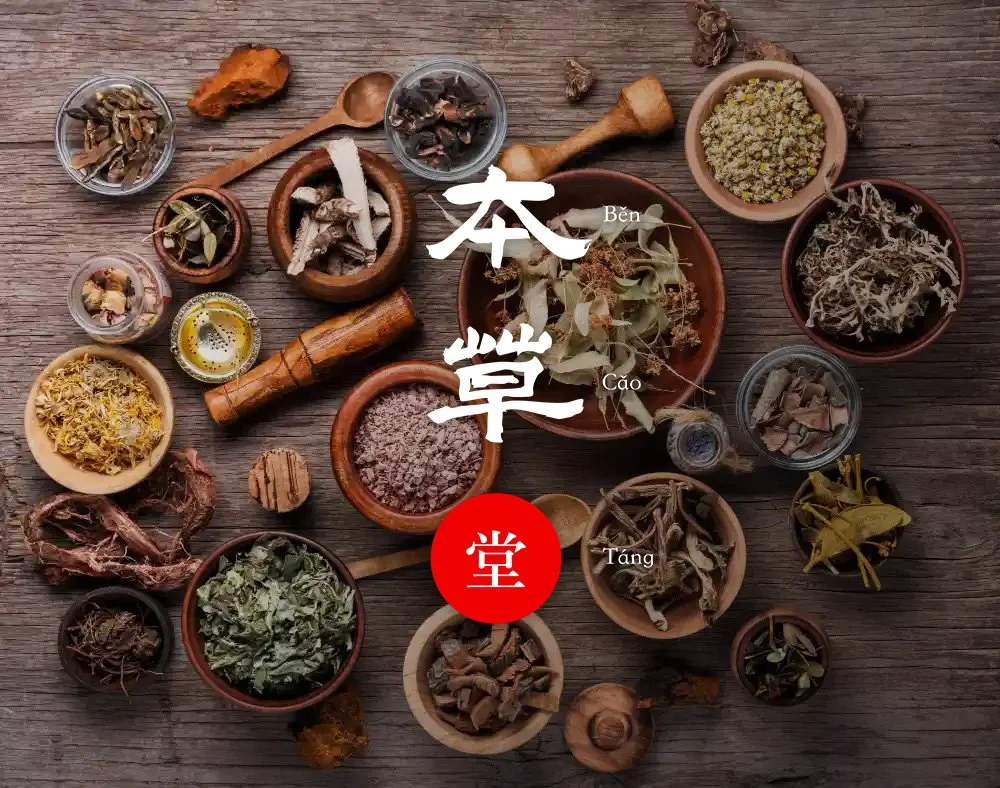 Chinese traditional herbal medicine