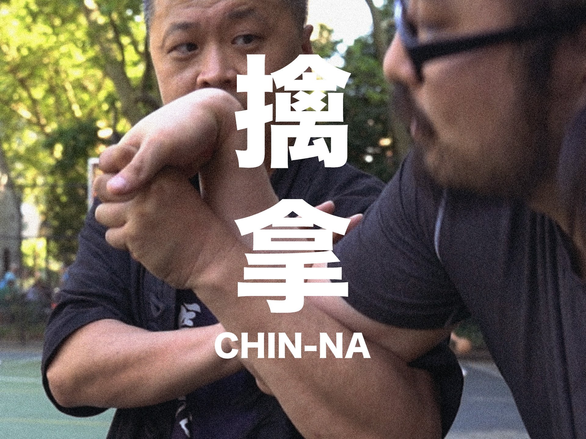 Northern Shaolin Changquan Chin-Na Taijiquan