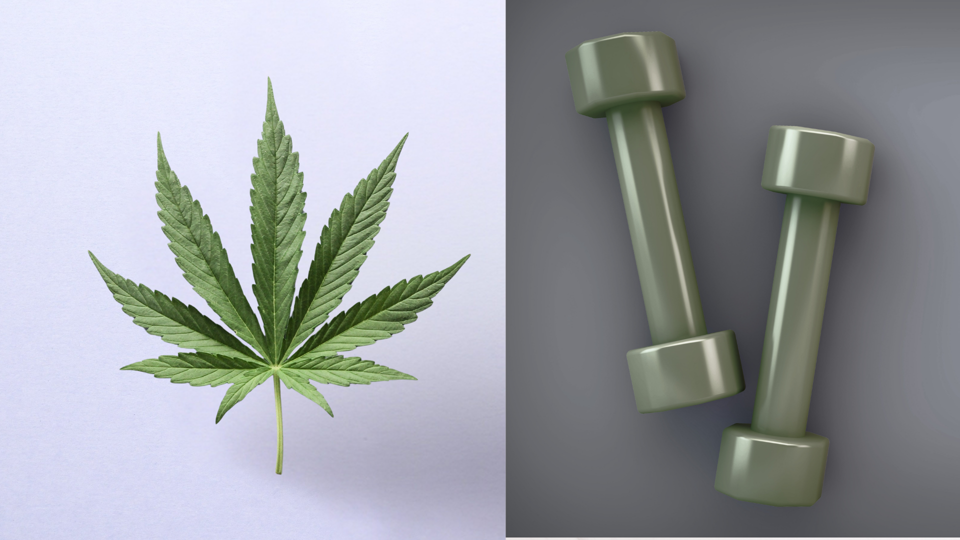 Split image showing a cannabis leaf on the left and a pair of green dumbbells on the right.