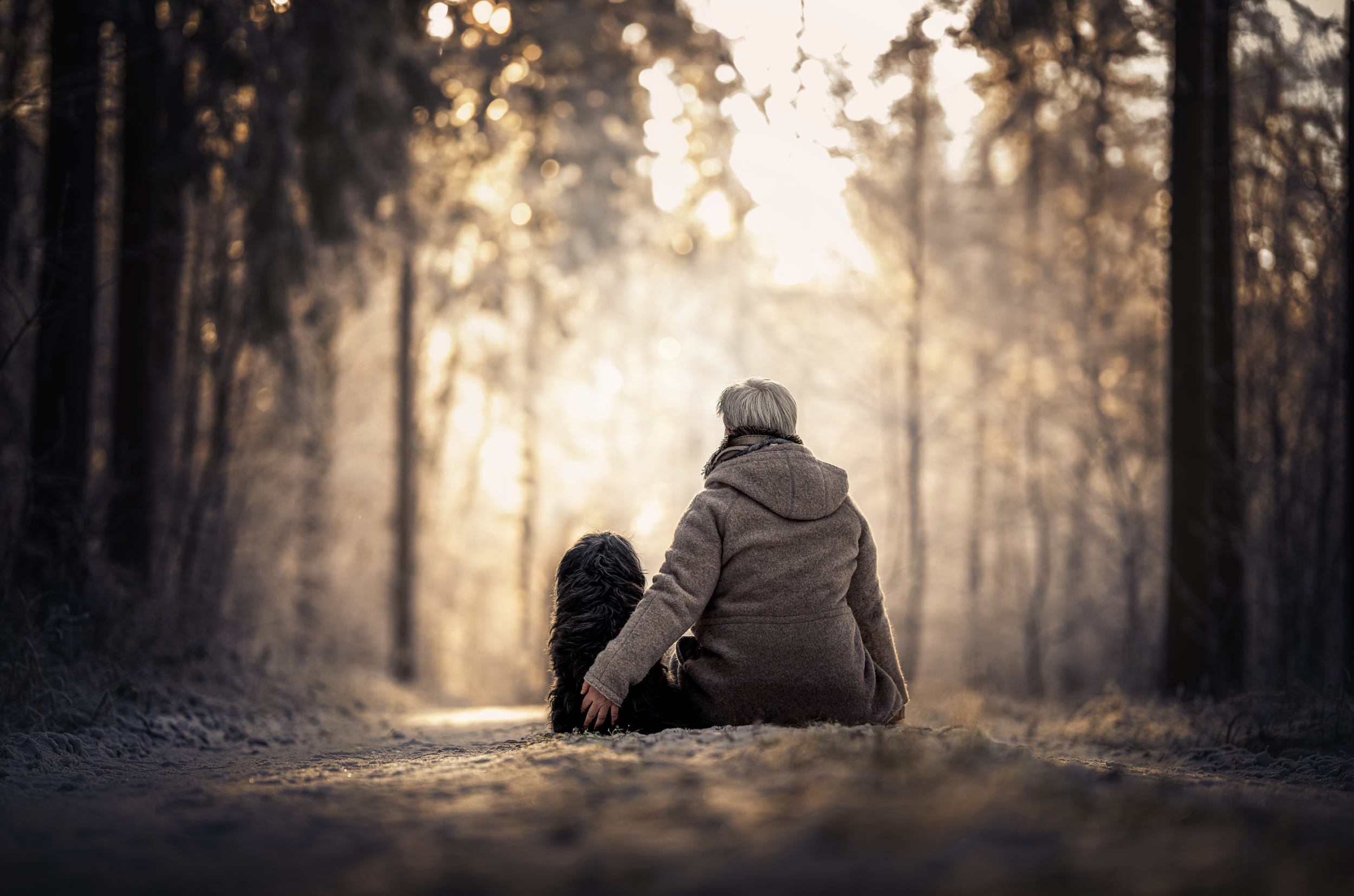 Bildschirmfoto 2026-03-02 um 19.53.27.png