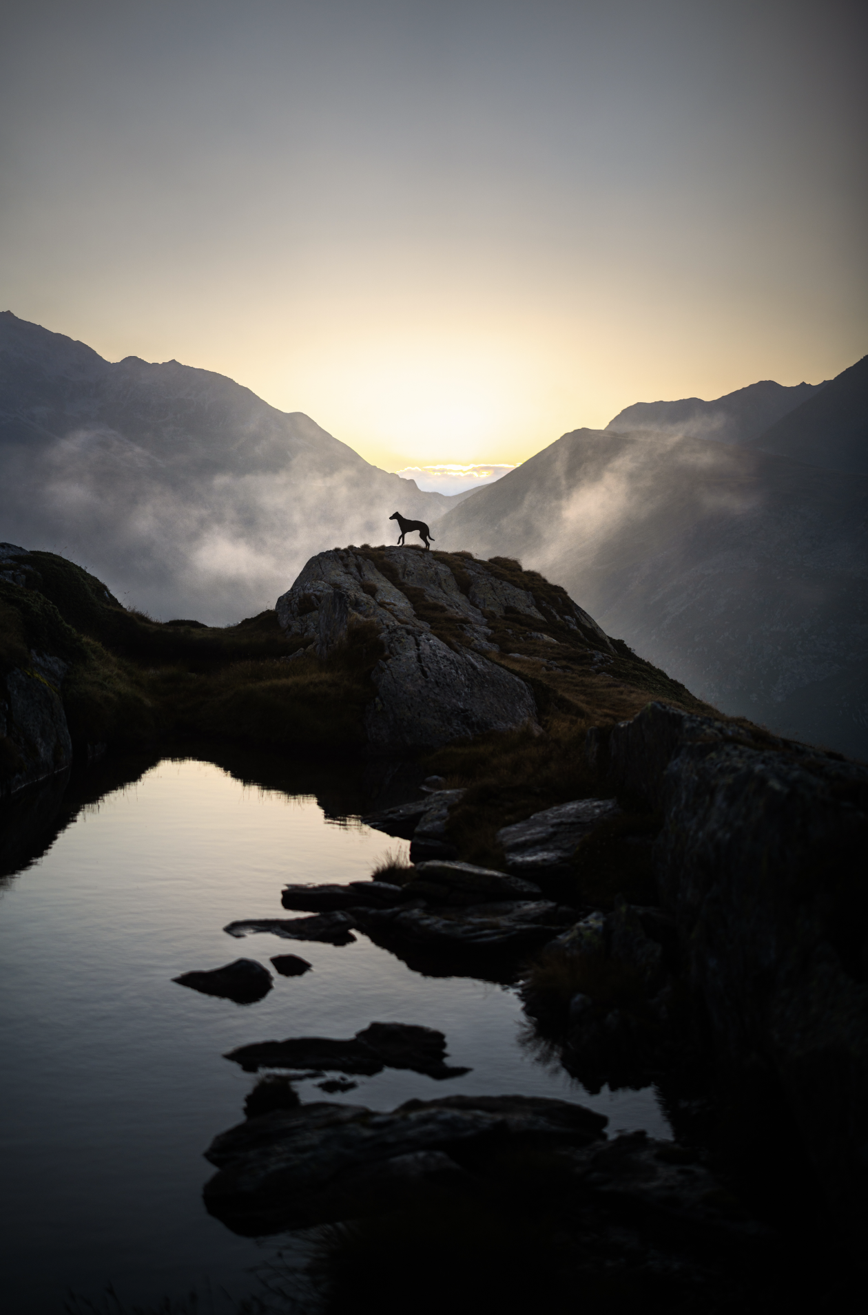 Bildschirmfoto 2026-03-02 um 20.19.21.png