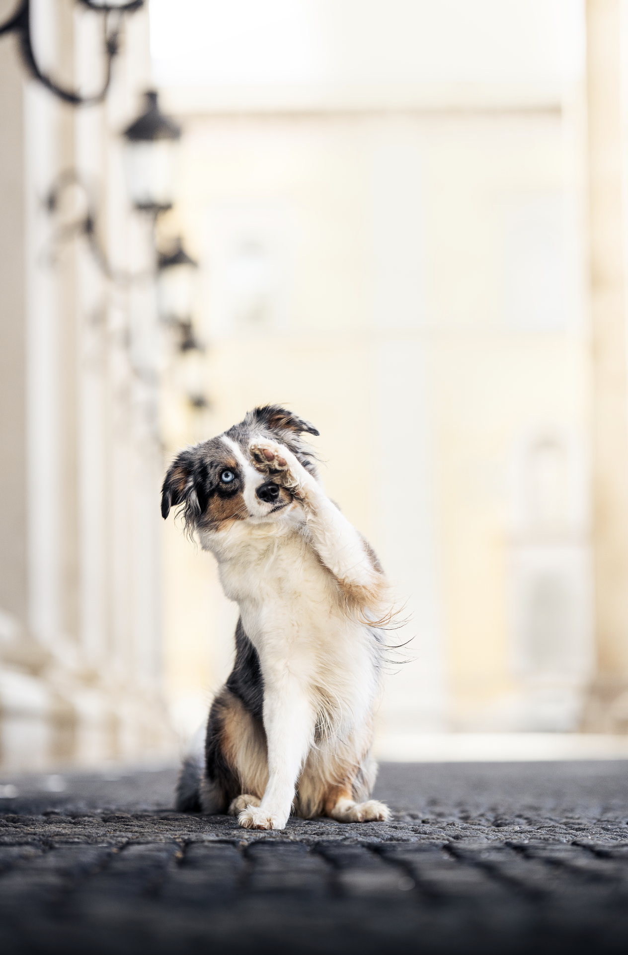 Bildschirmfoto 2026-03-02 um 19.54.10.png