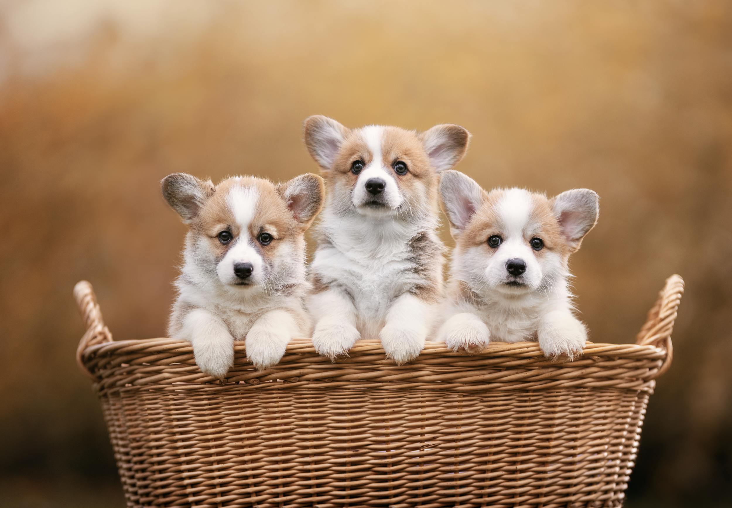 Bildschirmfoto 2026-03-02 um 20.17.49.png