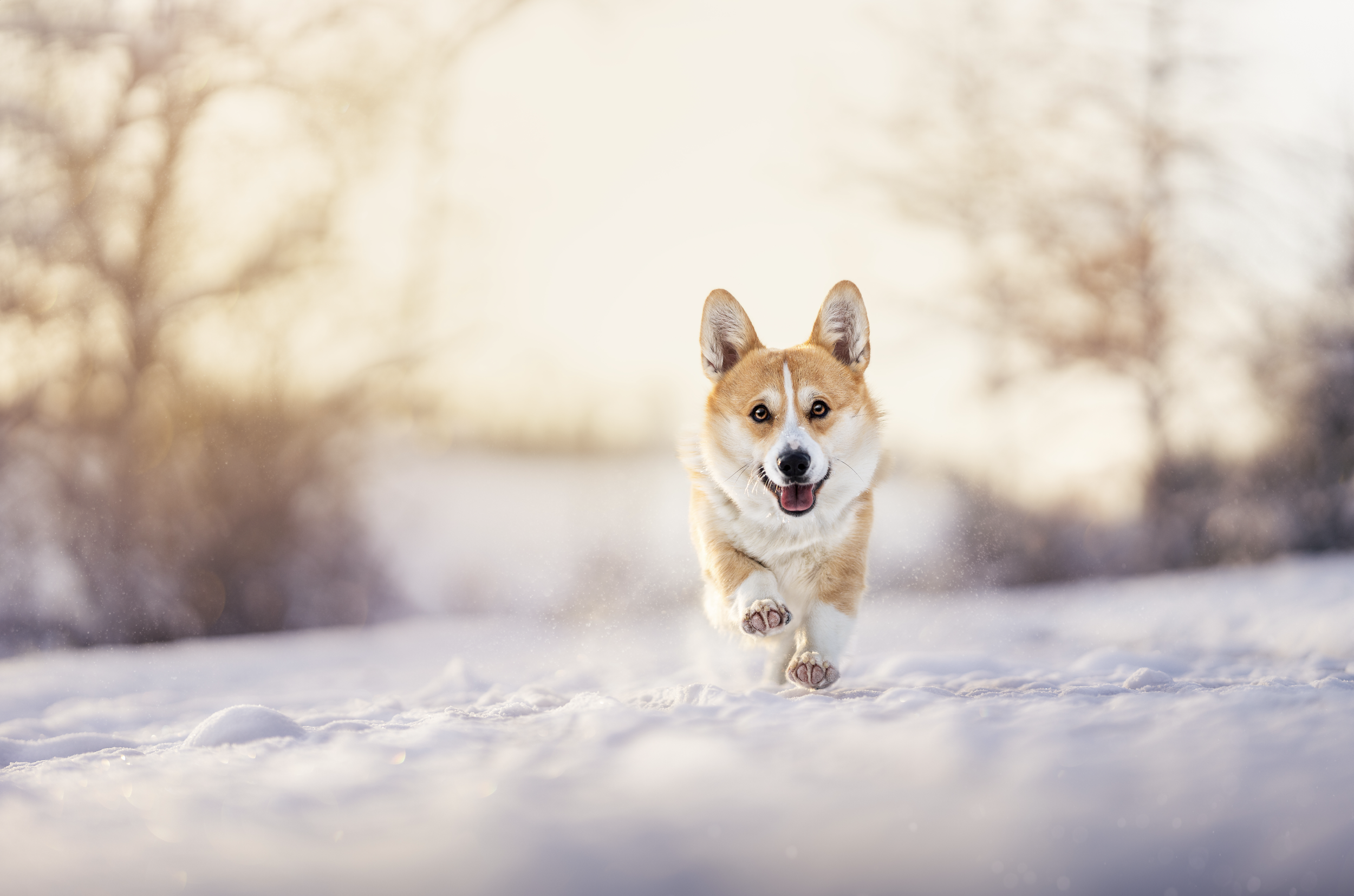 Bildschirmfoto 2026-03-02 um 19.54.56.png