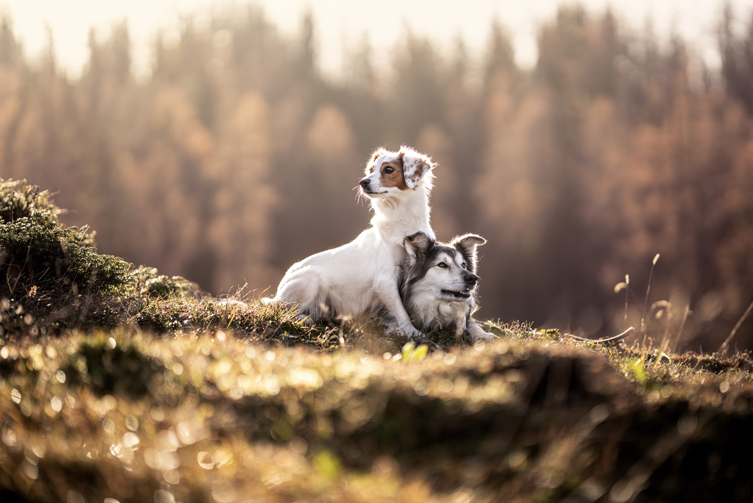 Bildschirmfoto 2026-03-02 um 19.55.21.png