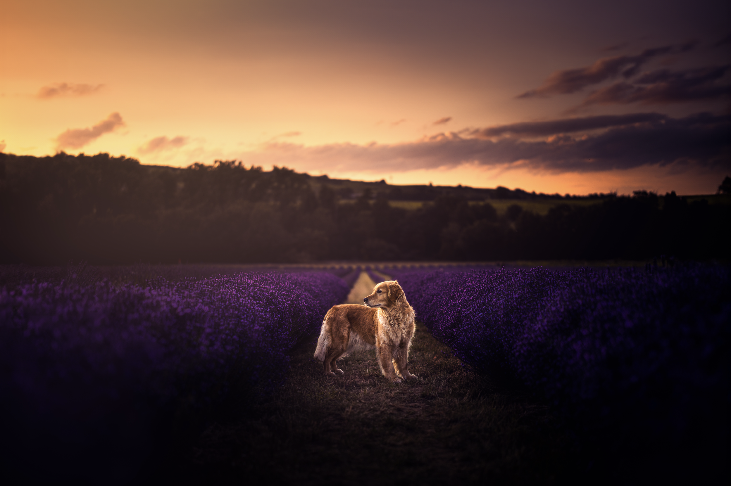 Bildschirmfoto 2026-03-02 um 19.50.51.png