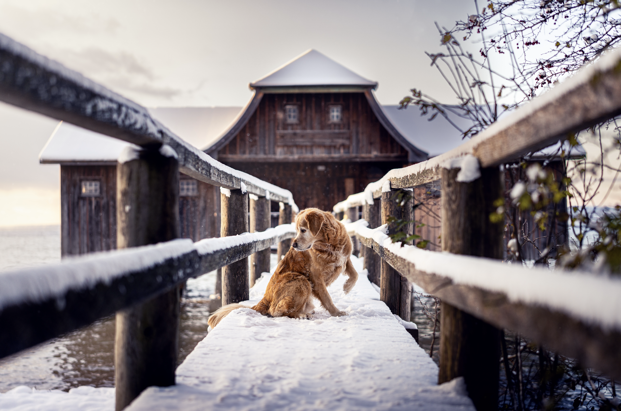 Bildschirmfoto 2026-03-02 um 19.54.23.png