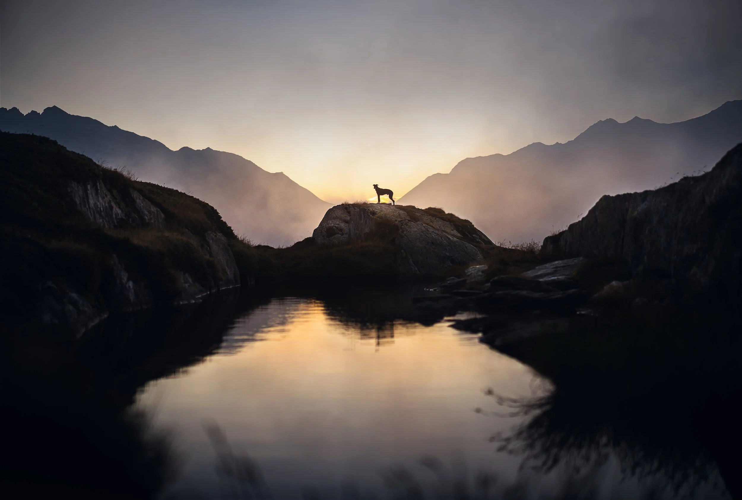PFOTENPOESIE_Grimsel-2.jpg