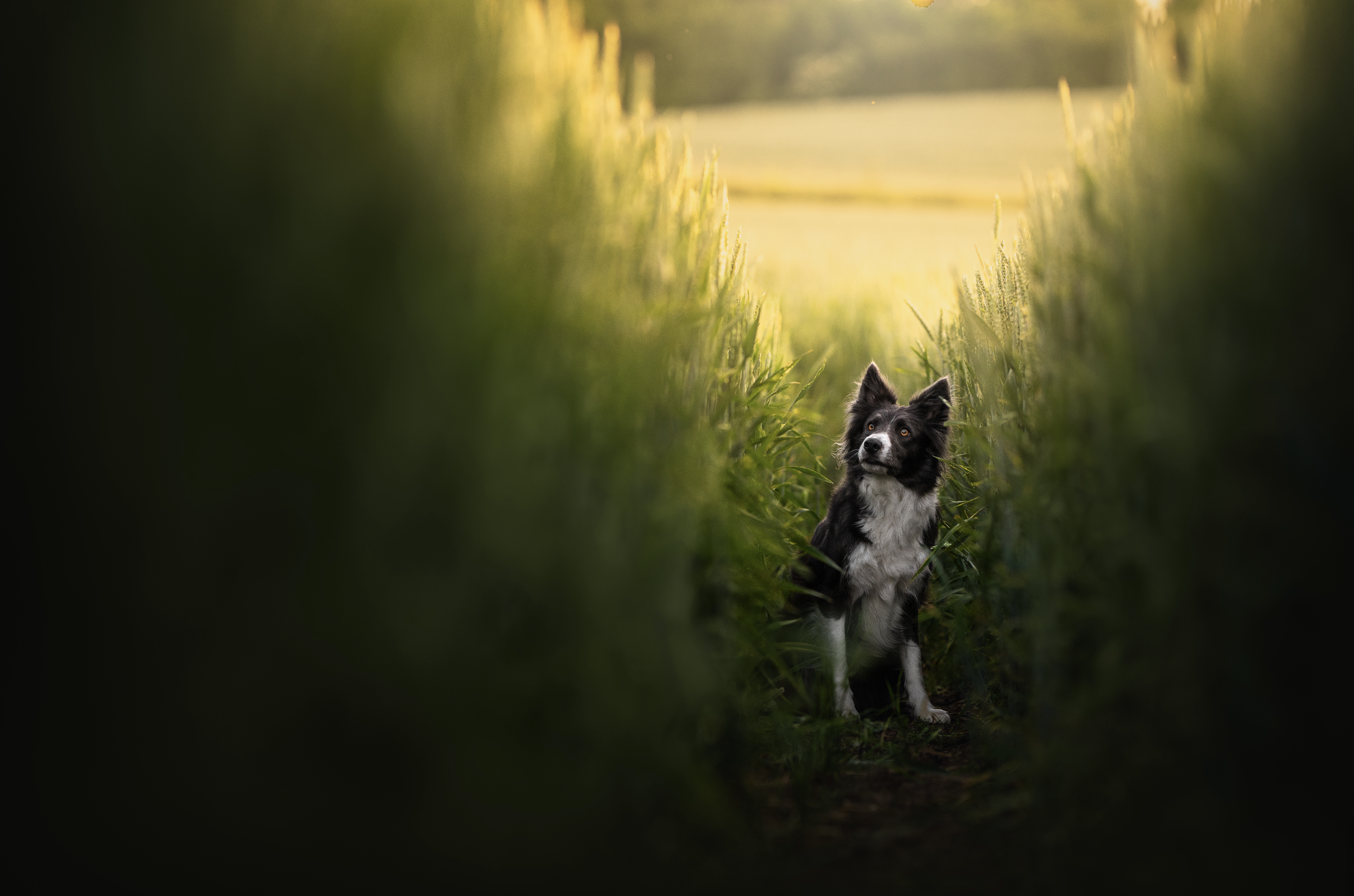 Bildschirmfoto 2026-03-02 um 19.51.54.png