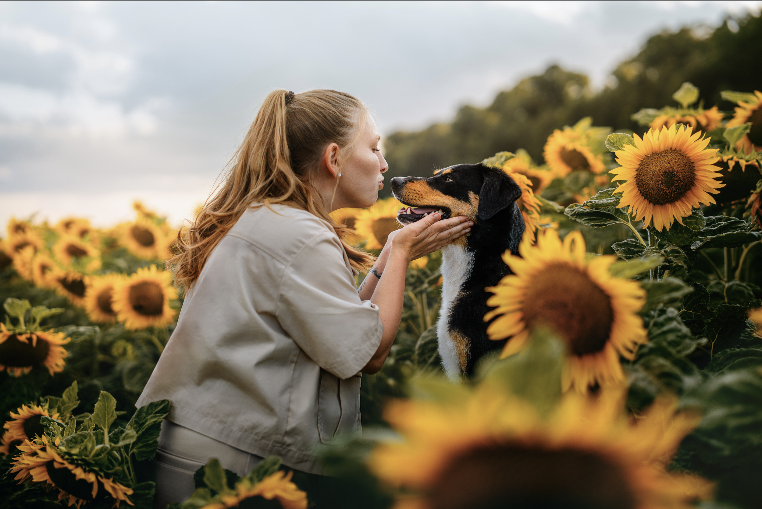 Bildschirmfoto 2026-03-02 um 19.50.22.png