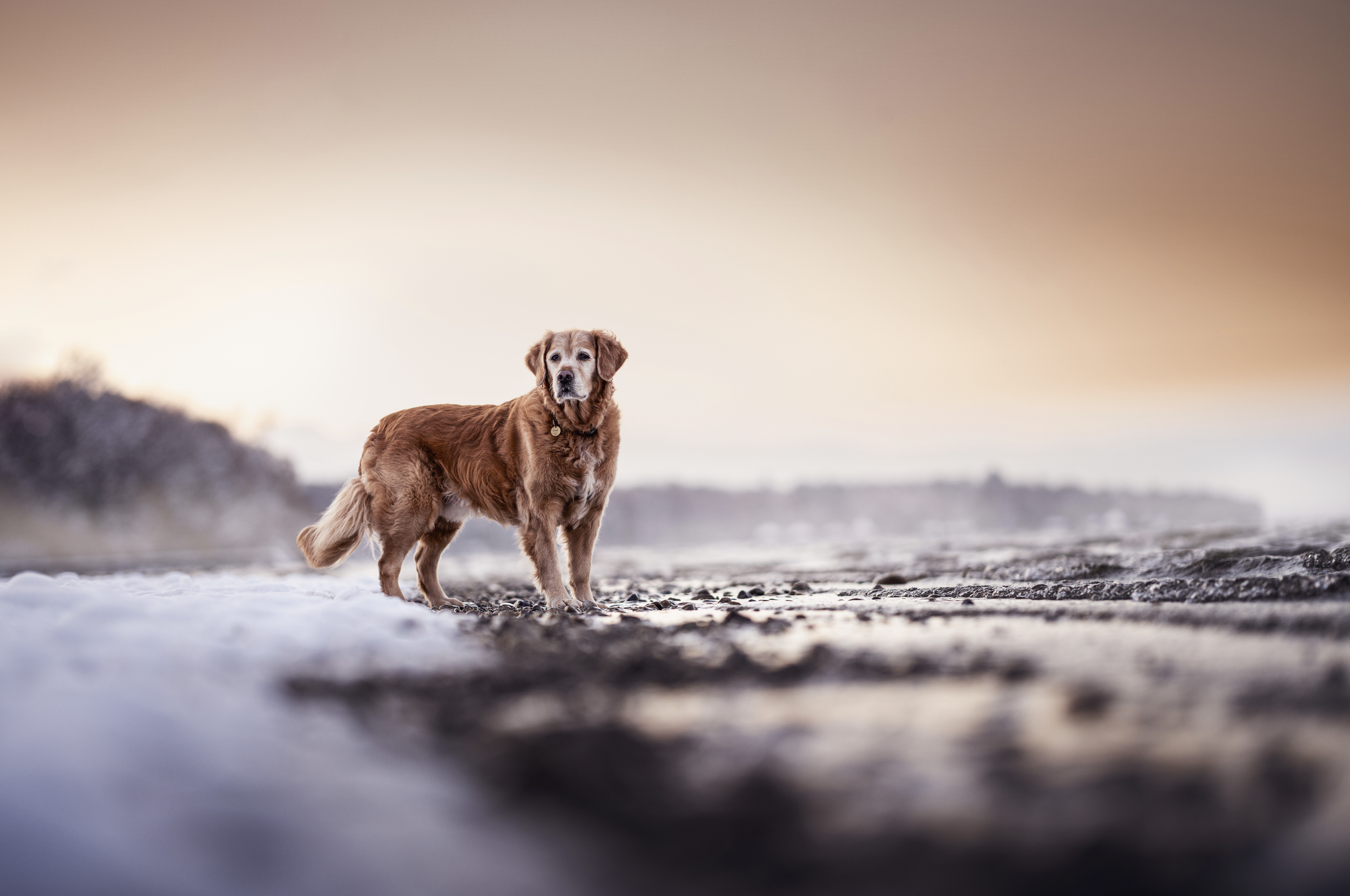 Bildschirmfoto 2026-03-02 um 19.54.45.png